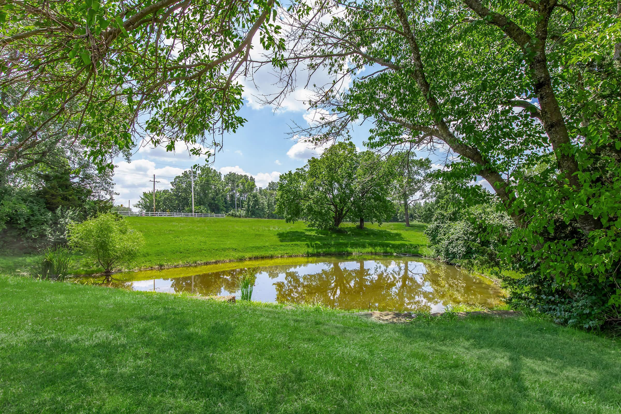 A serene landscape featuring a small pond surrounded by lush green grass and trees. The water reflects the greenery and blue sky, creating a peaceful natural scene. Soft sunlight filters through the leaves, enhancing the tranquil atmosphere of the setting.