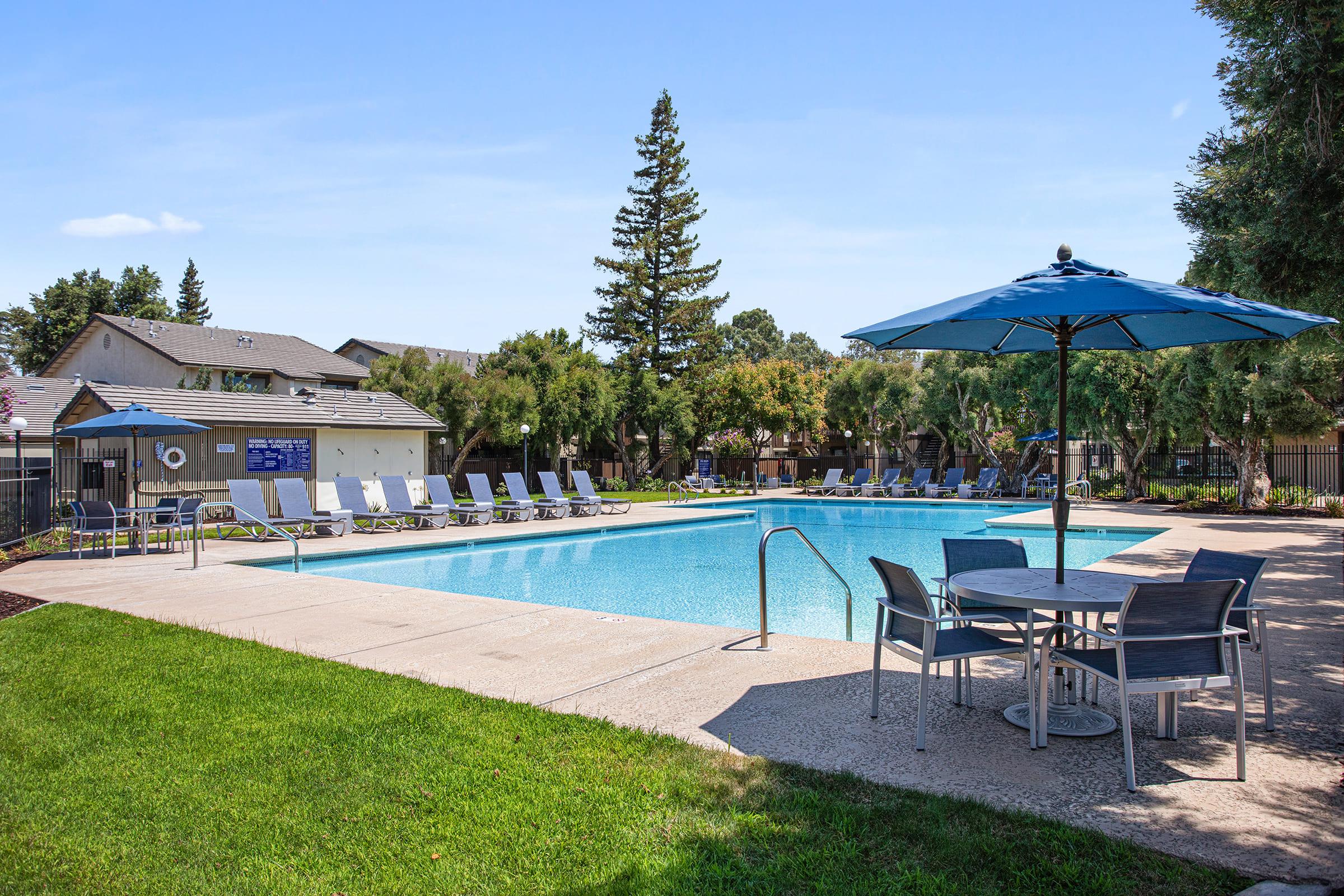 swimming pool with lawn