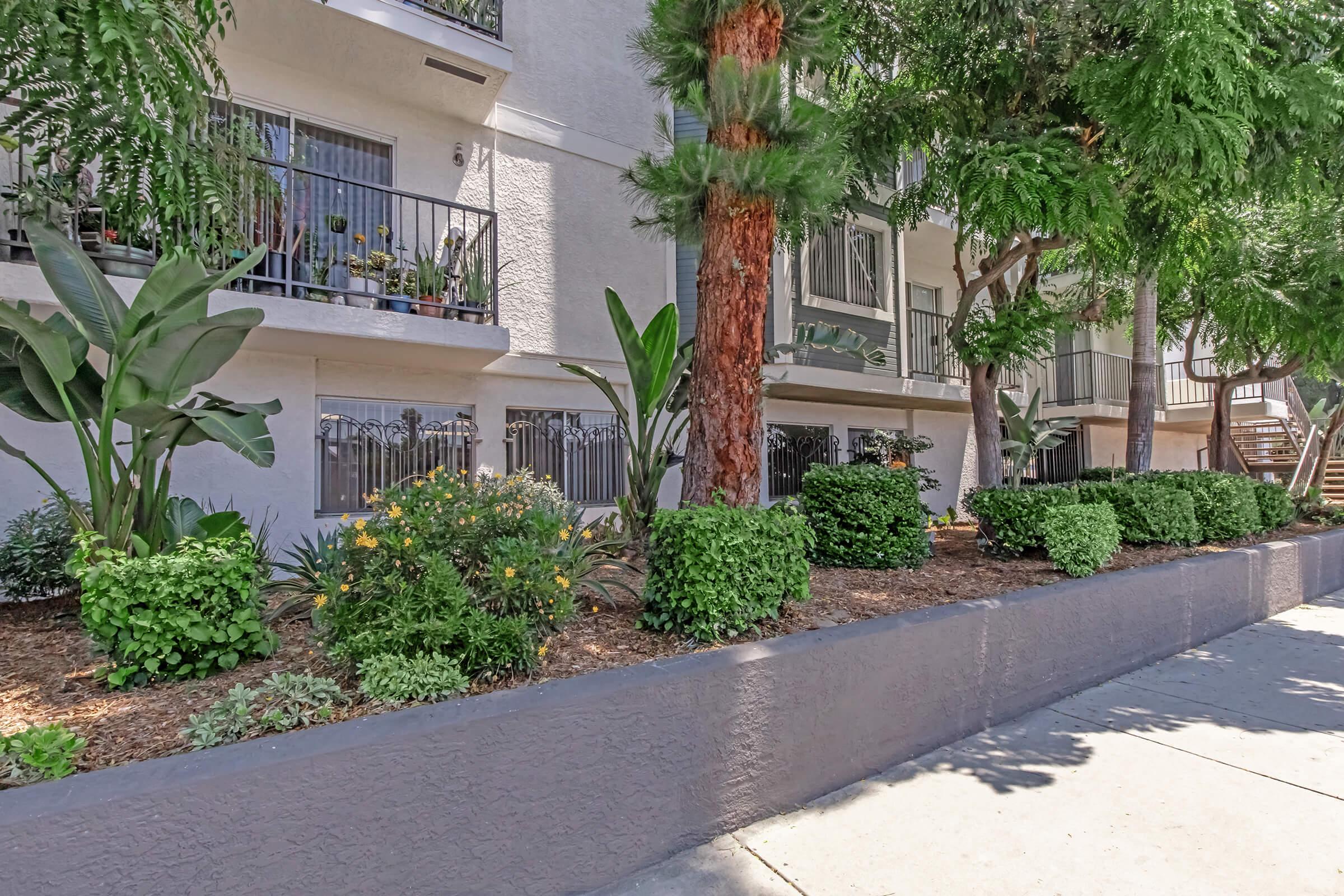 A landscaped area in front of an apartment building featuring neatly trimmed bushes, vibrant flowers, and palm trees. The building has balconies and is surrounded by greenery, creating a pleasant outdoor environment. The sidewalk is clear, inviting residents and visitors to enjoy the space.