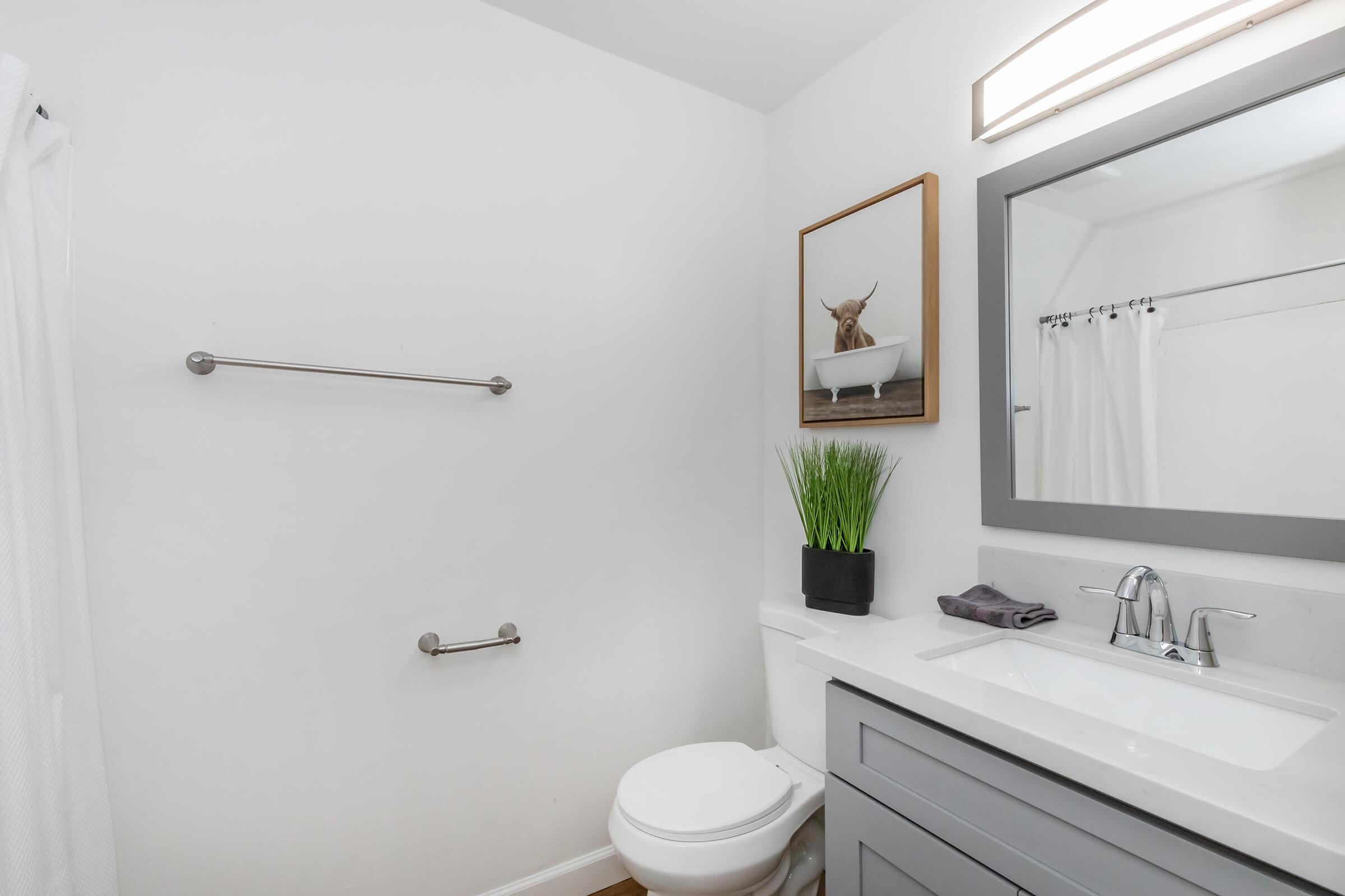 Modern bathroom featuring a white wall with a towel rack, a clean toilet, and a sleek gray vanity with a sink. Above the vanity, there's a large mirror illuminated by a light fixture. A framed artwork of a bull in a tub is on the wall, and a small potted plant adds a touch of greenery.