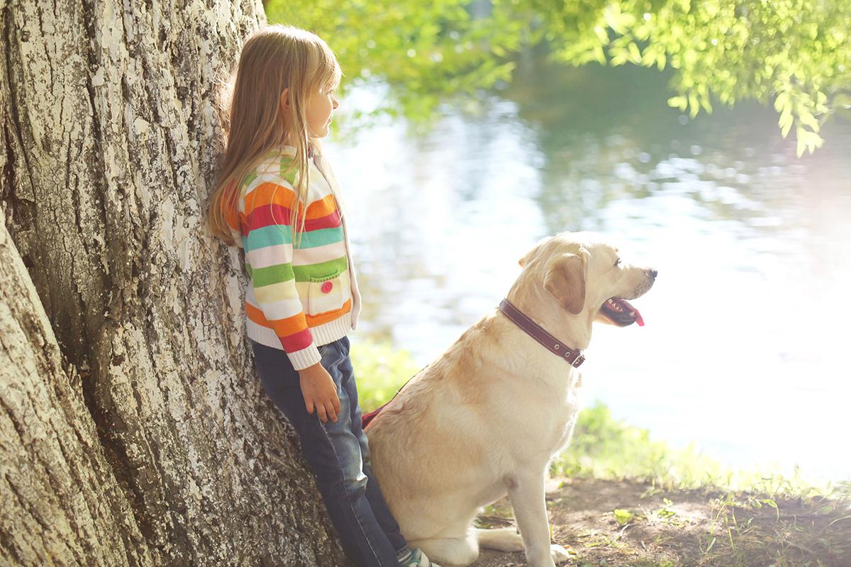 a person holding a dog