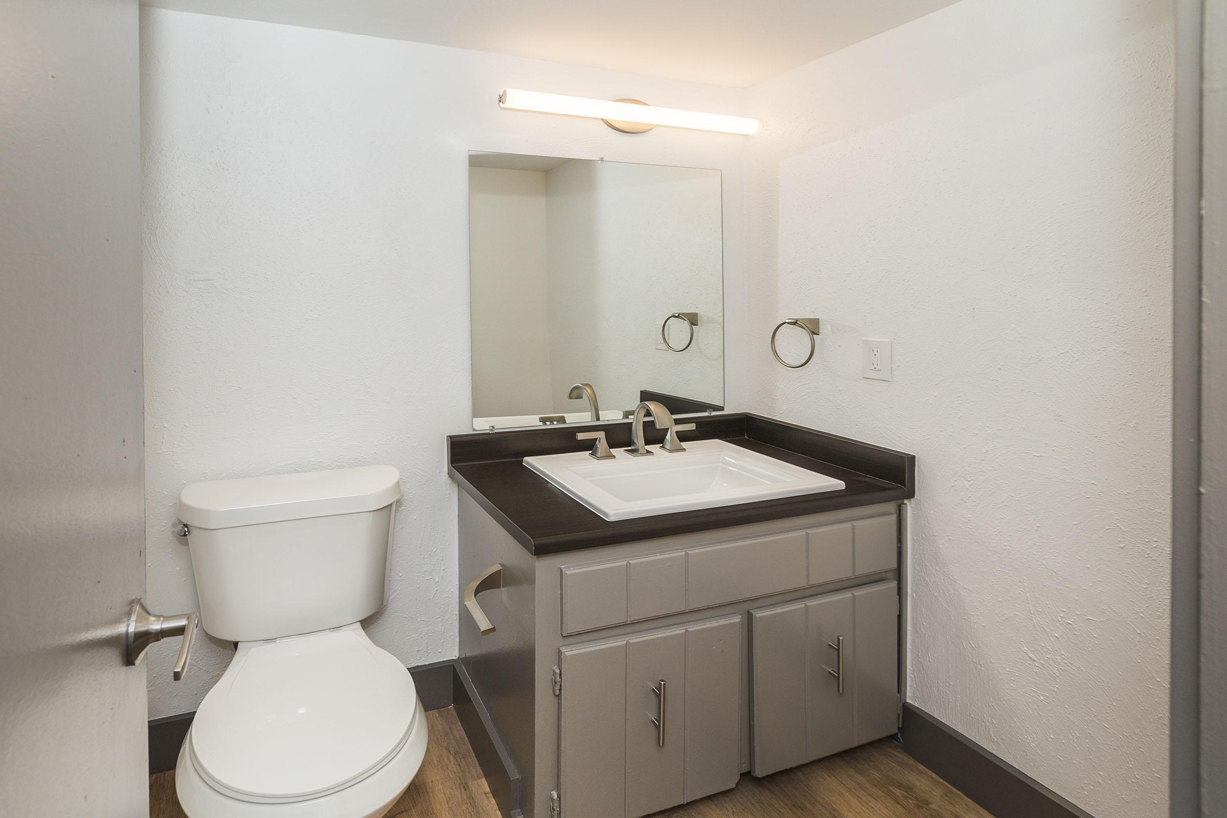 a white sink sitting under a mirror