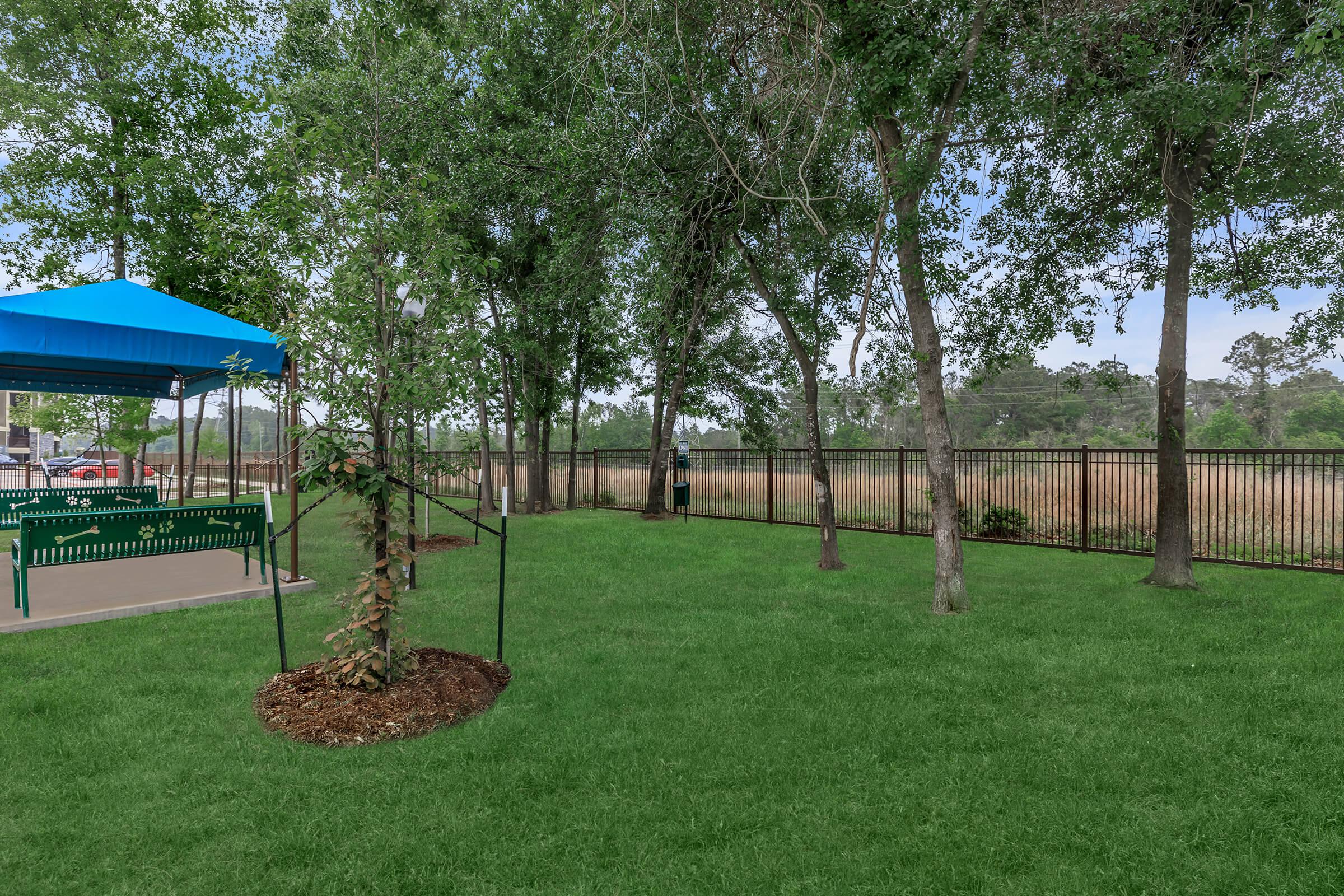 Green grass, trees, and bench seating at the Park at Tour 18 dog park.
