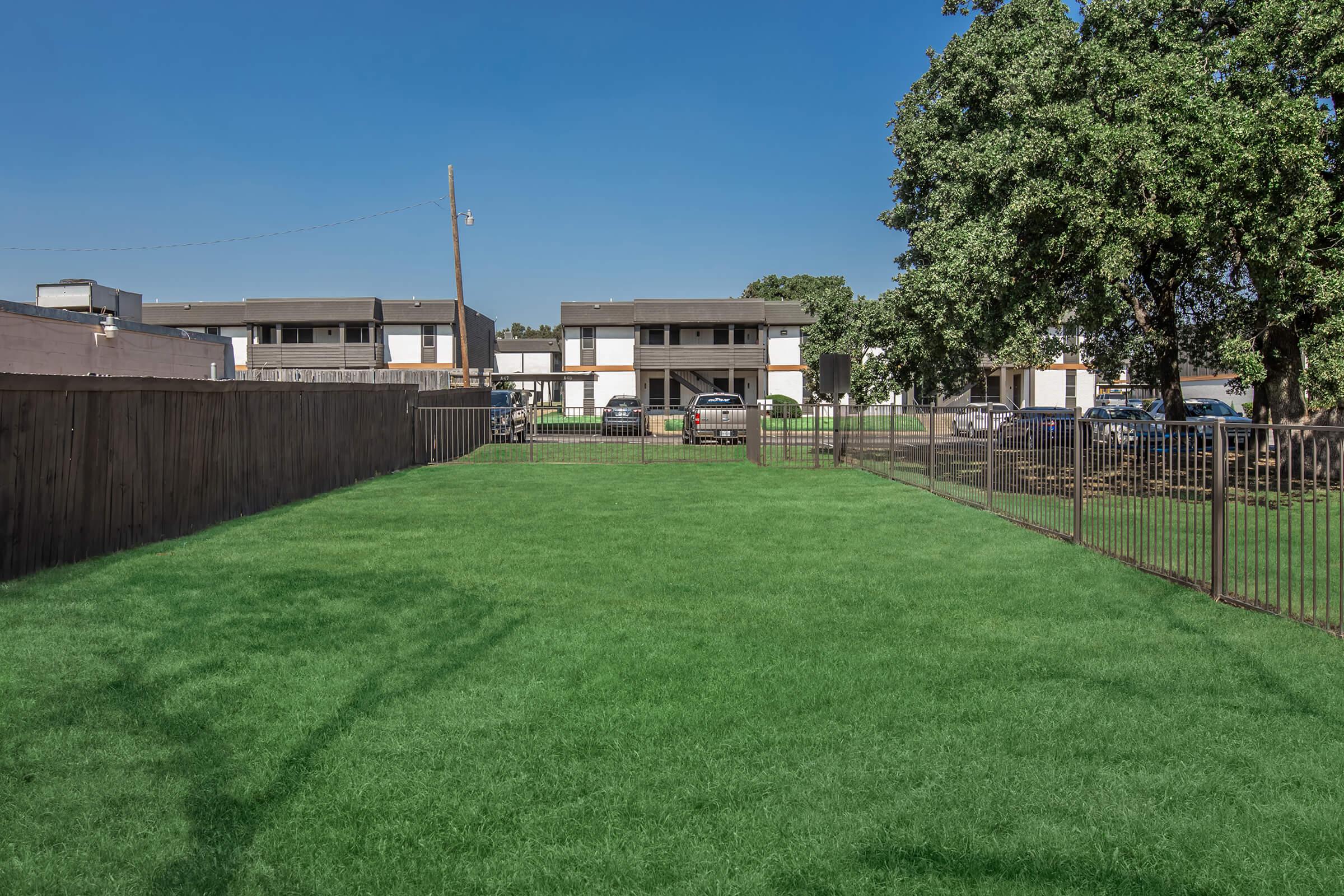 A well-maintained green lawn enclosed by a wooden fence, with a row of apartment buildings in the background. A few parked cars are visible near the buildings, and a large tree provides shade on one side. The sky is clear and blue, indicating a sunny day.