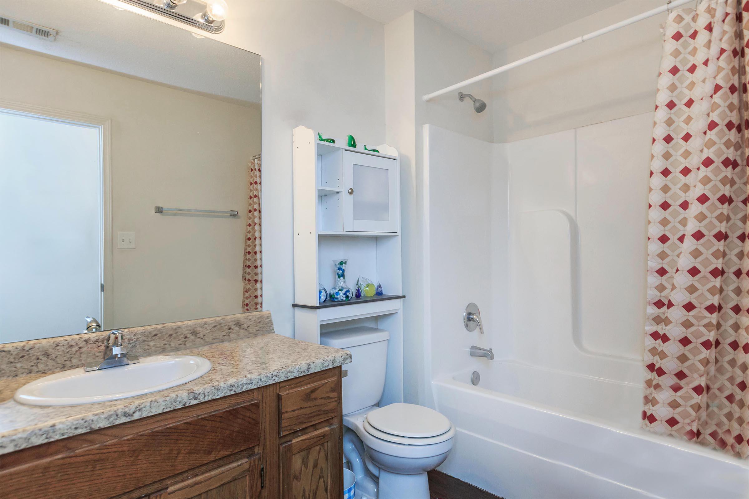 a shower that has a sink and a mirror