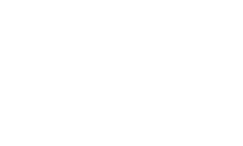 Texas Housing Foundation