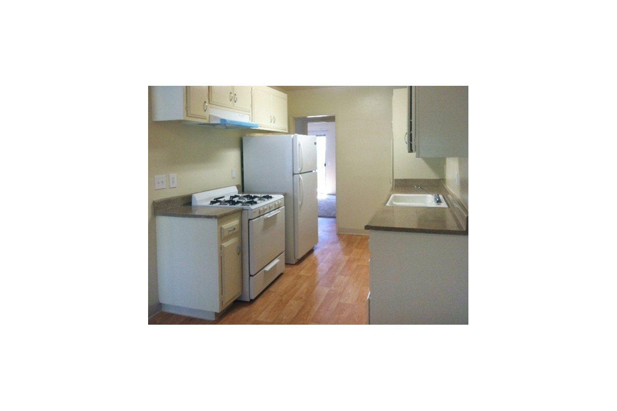 photo5.jpg