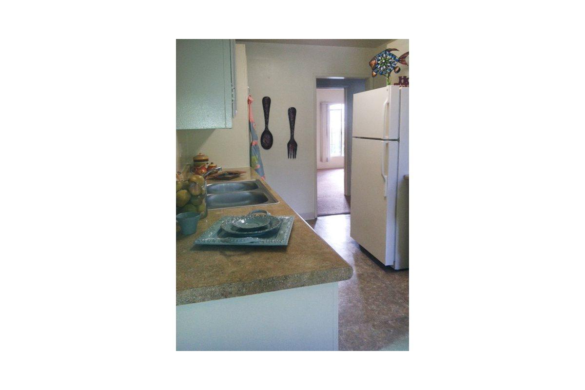 photo9.jpg