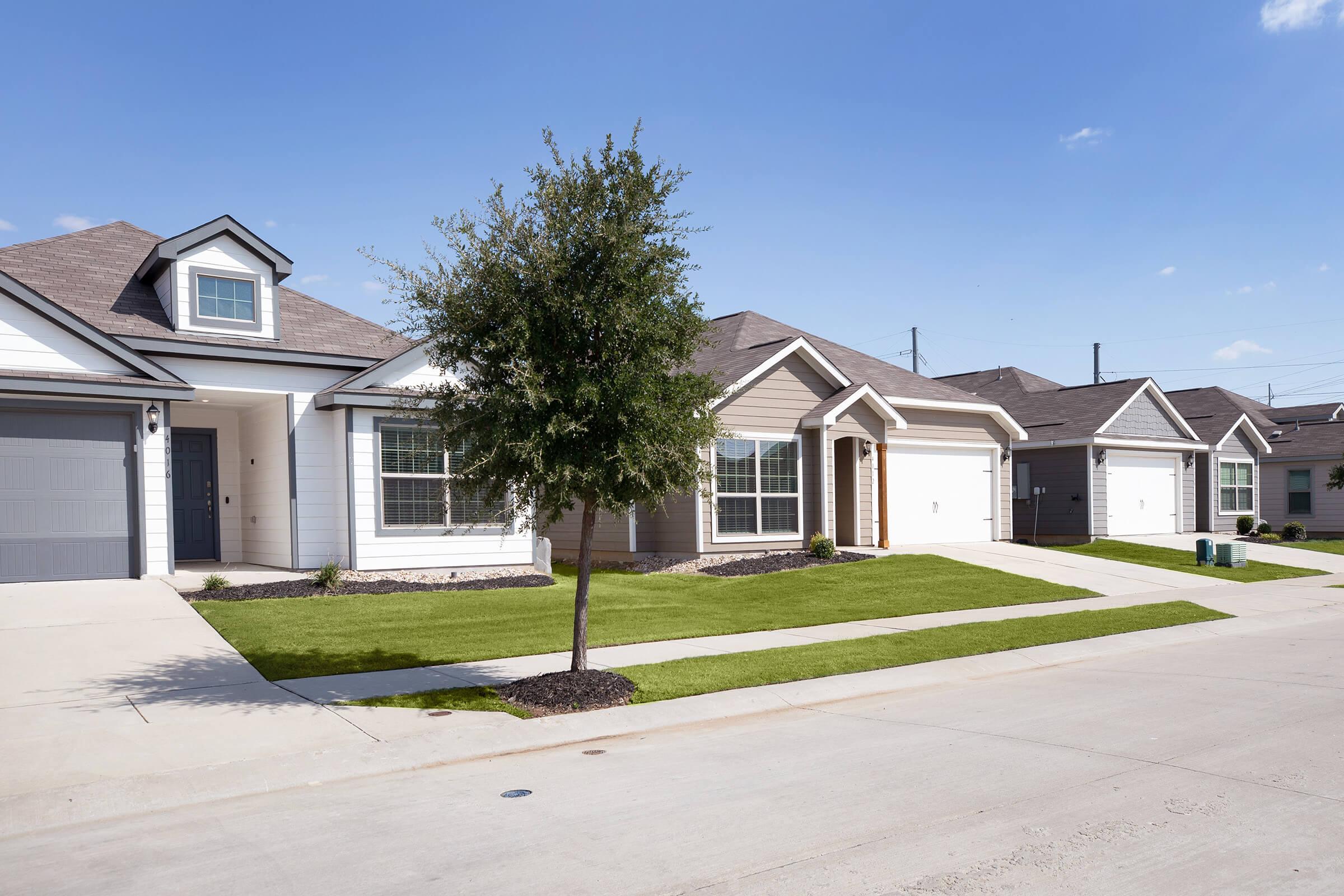 A row of modern single-family homes on a suburban street, featuring well-manicured lawns, driveways, and a clear blue sky. The houses have various architectural styles, including gabled roofs and decorative siding, with small trees and shrubs enhancing the landscape.