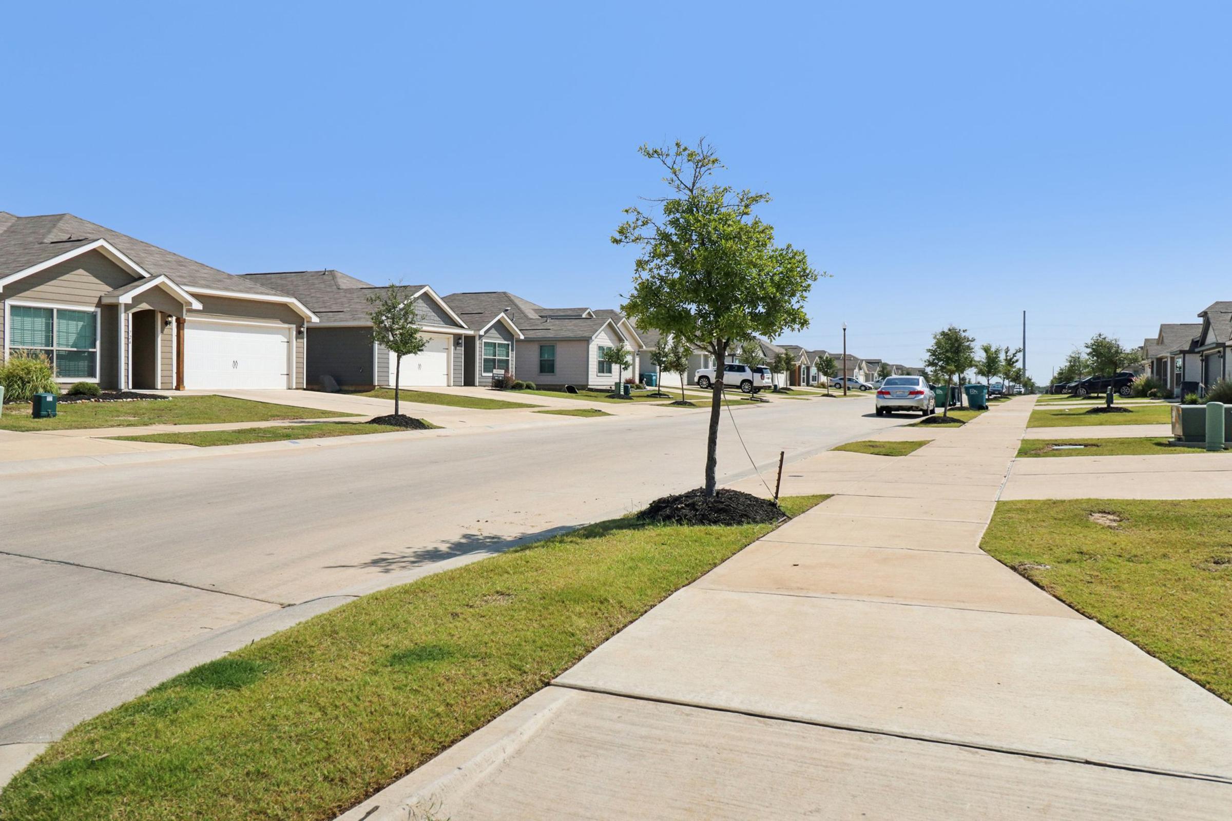 A quiet suburban street lined with houses, showcasing green lawns and some landscaping. The road is clear with parked vehicles on one side and a tree planted along the sidewalk. The sky is bright and clear, creating a serene neighborhood atmosphere.