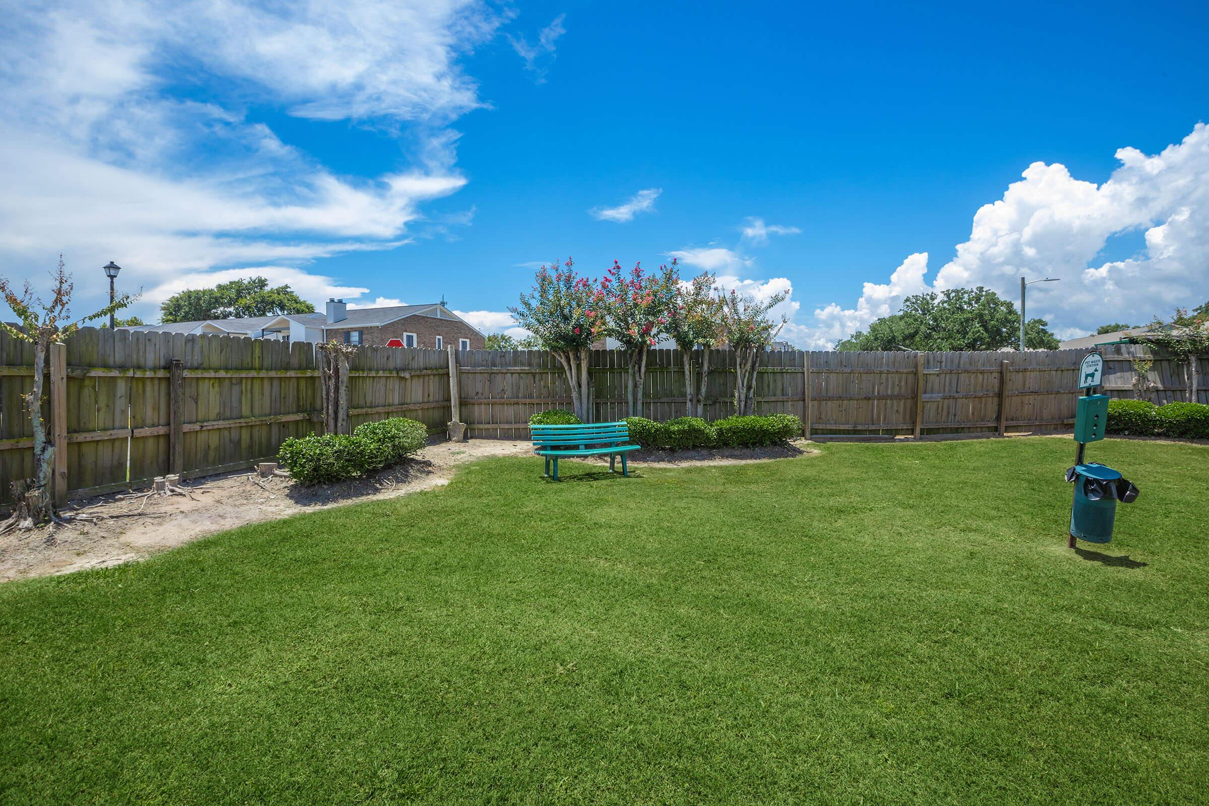 a close up of a green yard