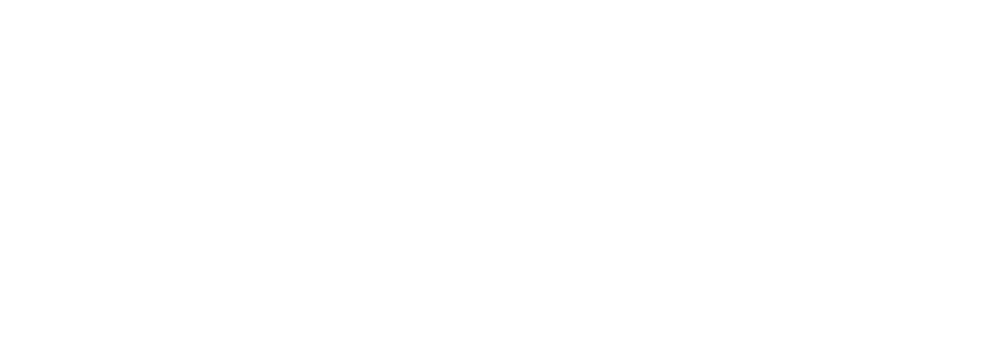 Orleans Apartment Homes Logo