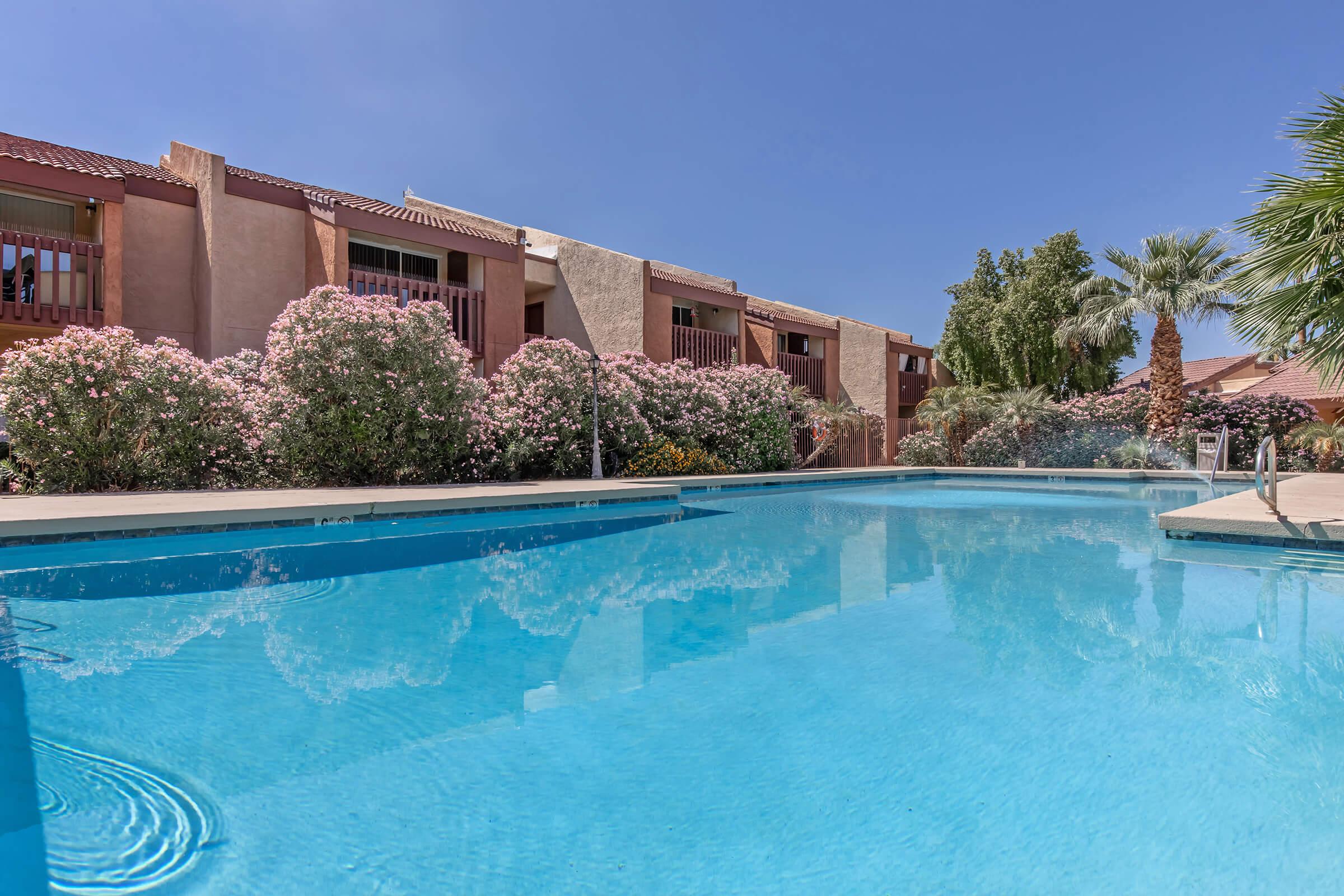 A serene swimming pool surrounded by vibrant pink flowering bushes and palm trees, with adjacent residential buildings. Clear blue skies reflect in the water, creating a tranquil atmosphere ideal for relaxation.