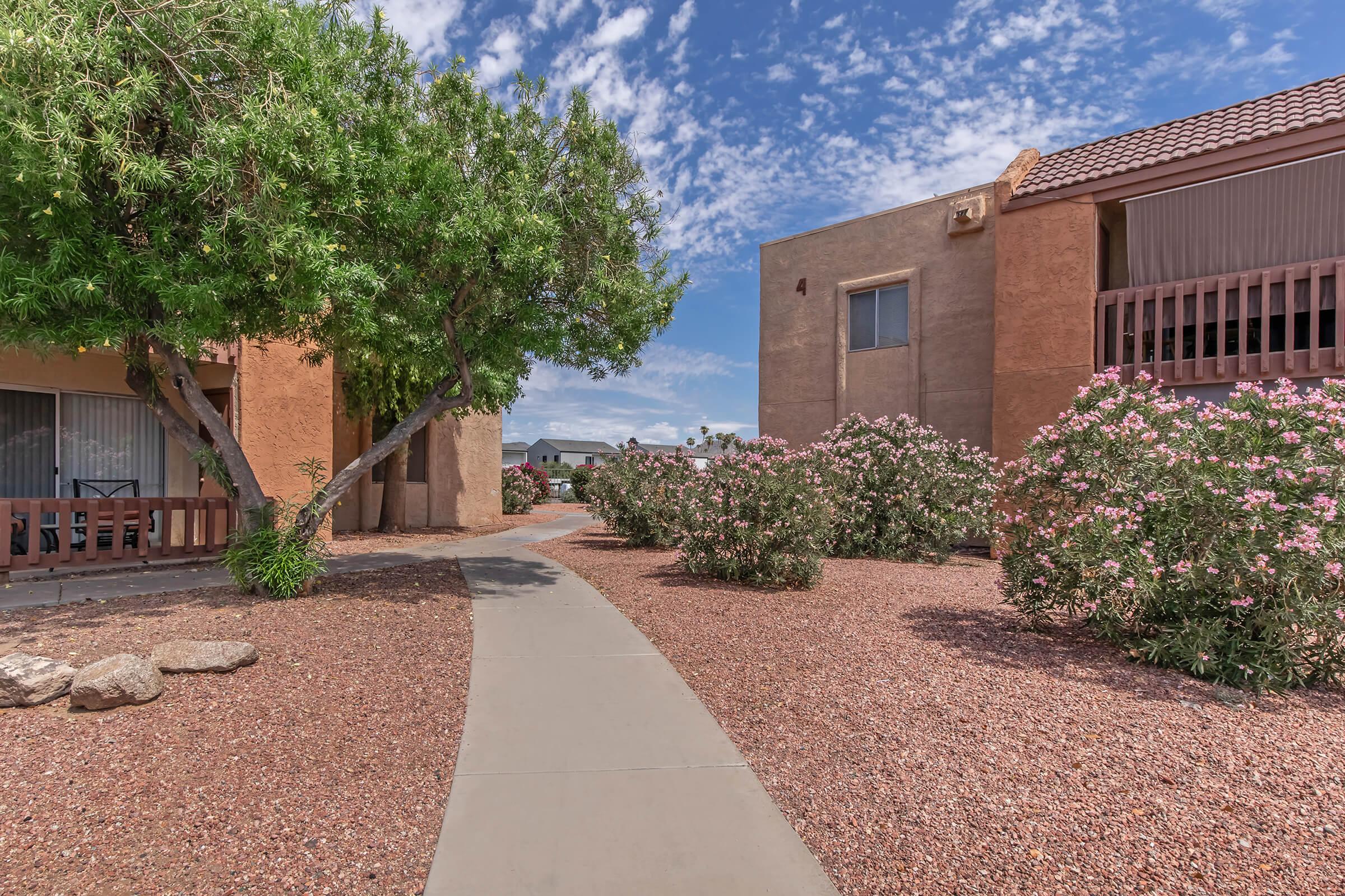 A landscaped pathway meanders through a desert garden, bordered by flowering shrubs and a tree, leading to two residential buildings under a partly cloudy sky. The scene captures a serene outdoor environment with a mix of natural and architectural elements.