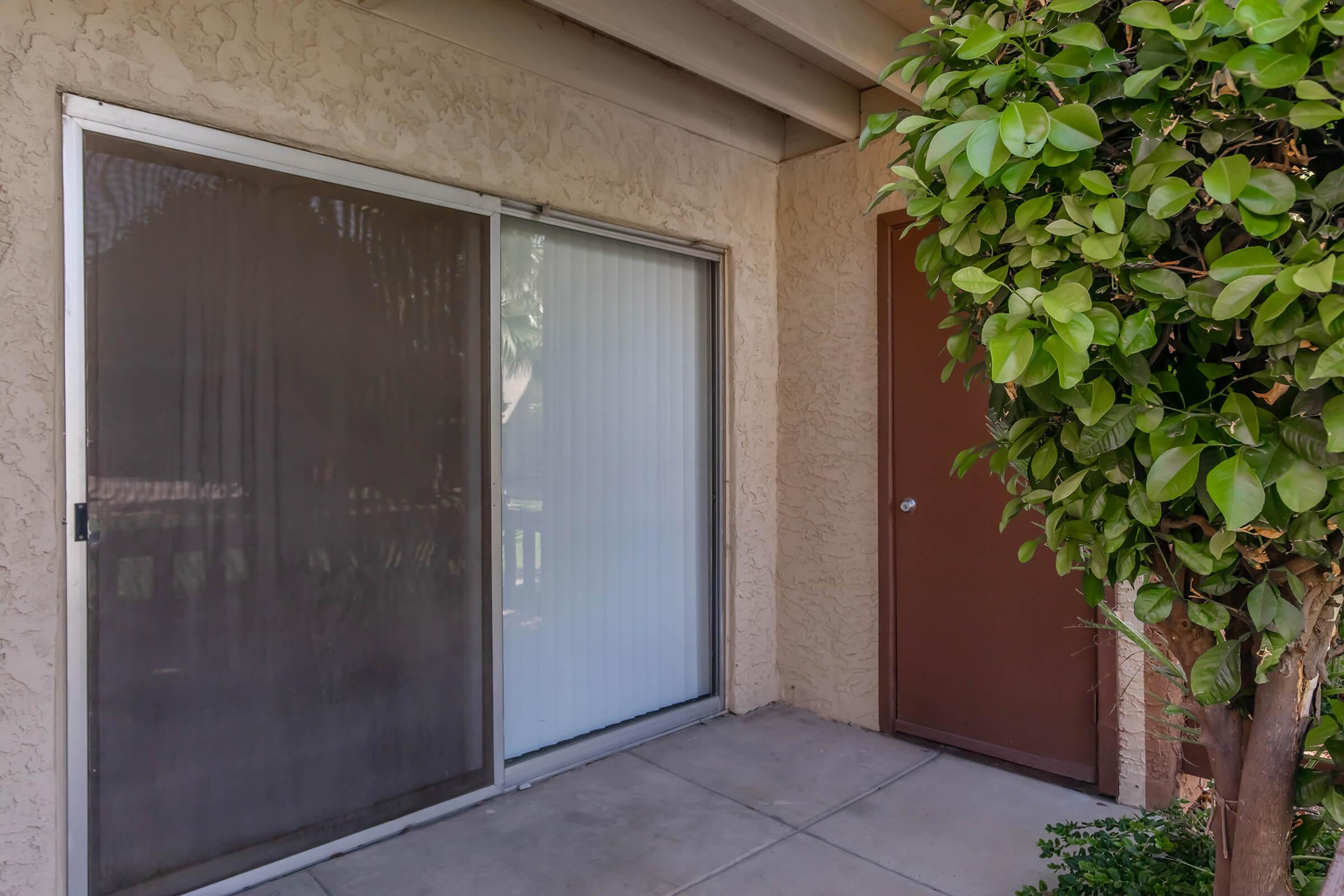 A patio area featuring a sliding glass door with sheer blinds and a brown wooden door nearby. A green shrub with lush leaves is situated to the right of the sliding door, complementing the exterior texture of the beige wall and concrete floor. The area is well-lit and inviting.