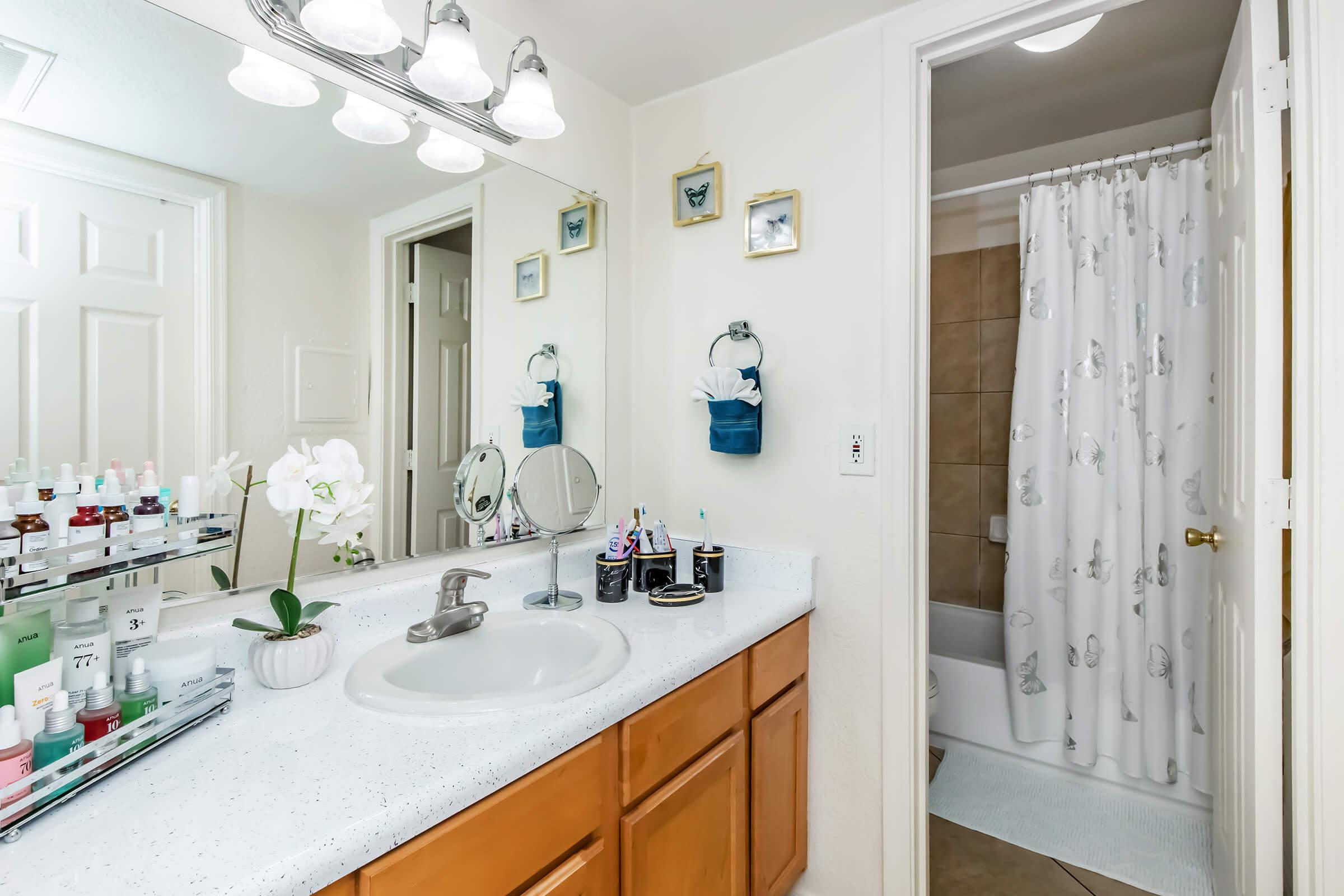 A clean, well-organized bathroom featuring a countertop with several skincare products, a small potted orchid, and a mirror above the sink. The walls are adorned with framed pictures, and a shower curtain is visible in the adjacent room, suggesting a tidy and inviting atmosphere.
