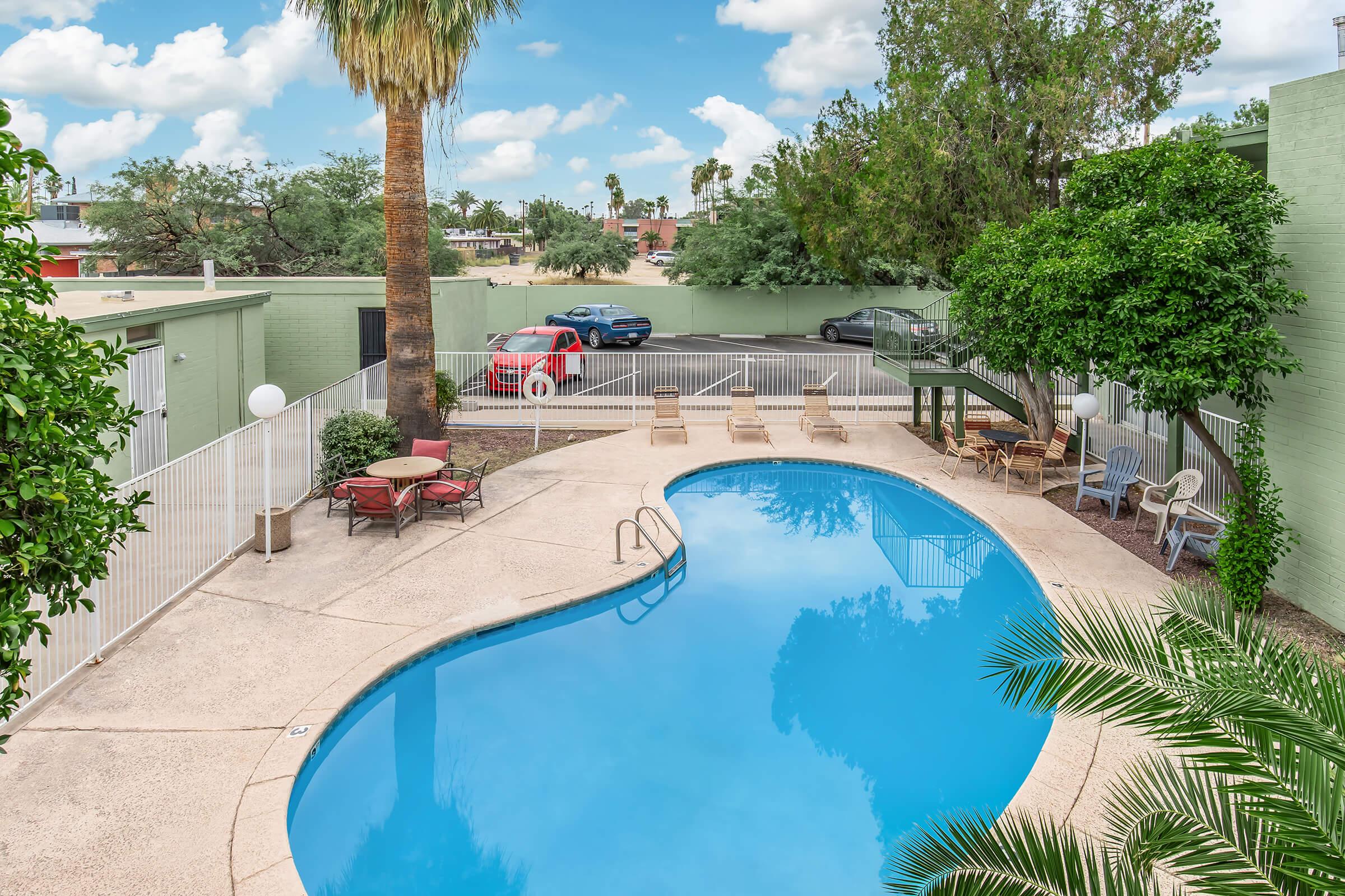 a pool next to a palm tree