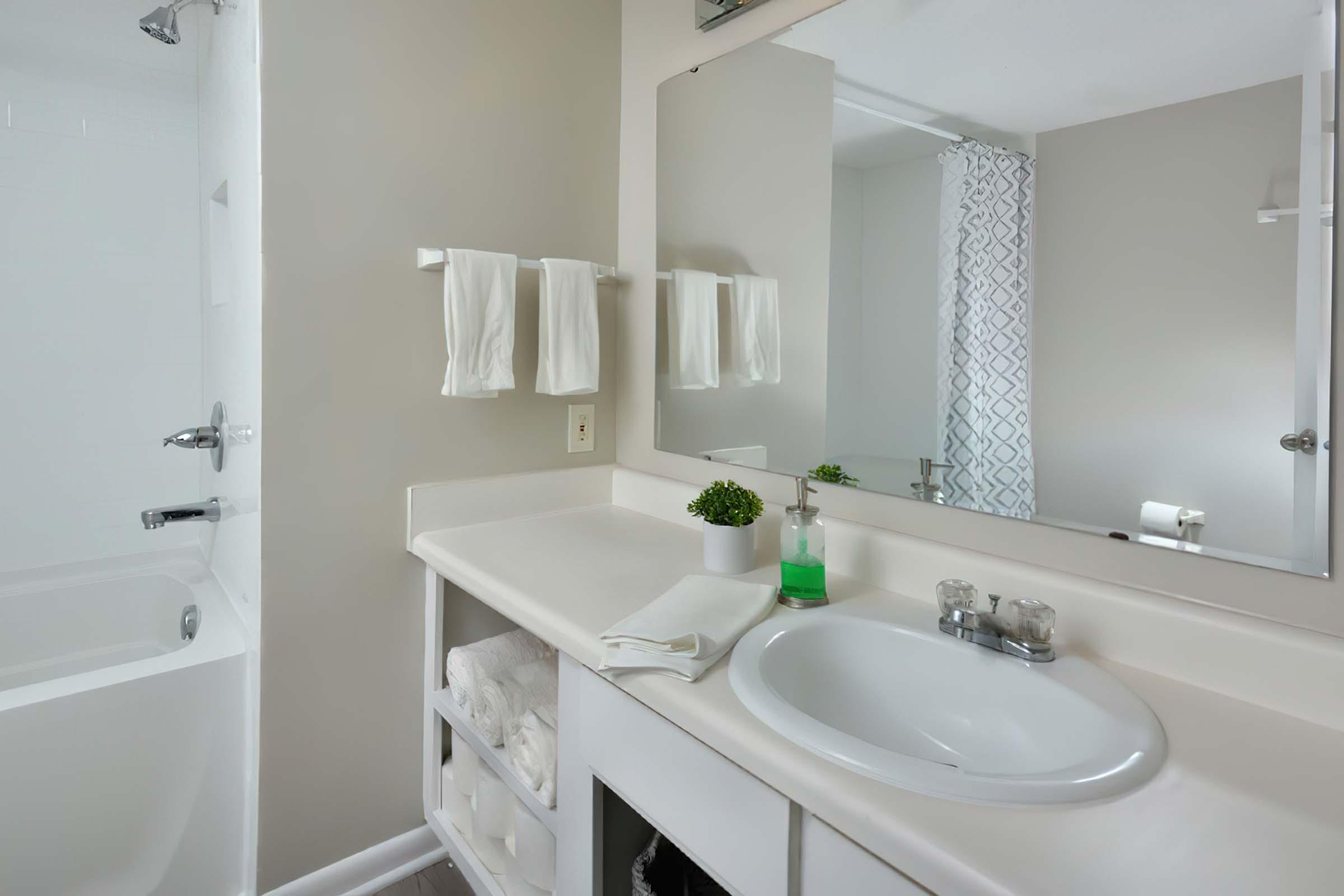 a double sink and large mirror