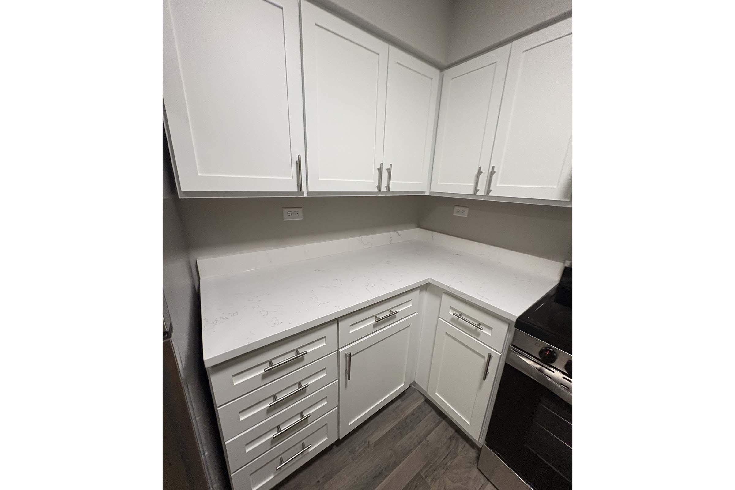 kitchen cabinets.jpeg