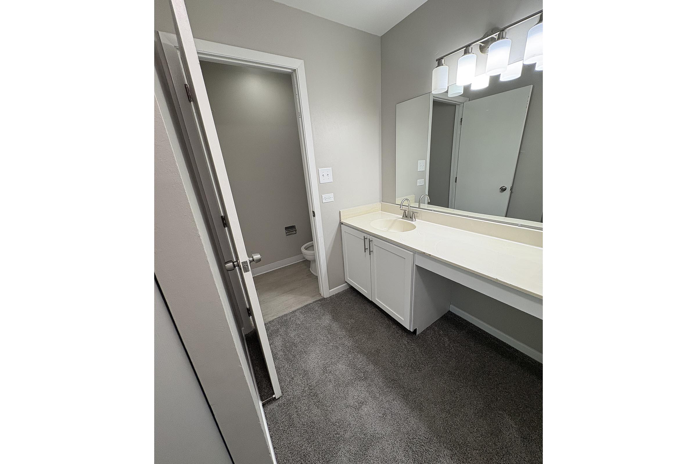 A small, modern bathroom featuring a light-colored countertop, double sink with a mirror above, and a white vanity. A doorway leads to another room, while a toilet is visible in a small enclosed space to the left. The floor is carpeted and the walls are painted in a soft gray tone.
