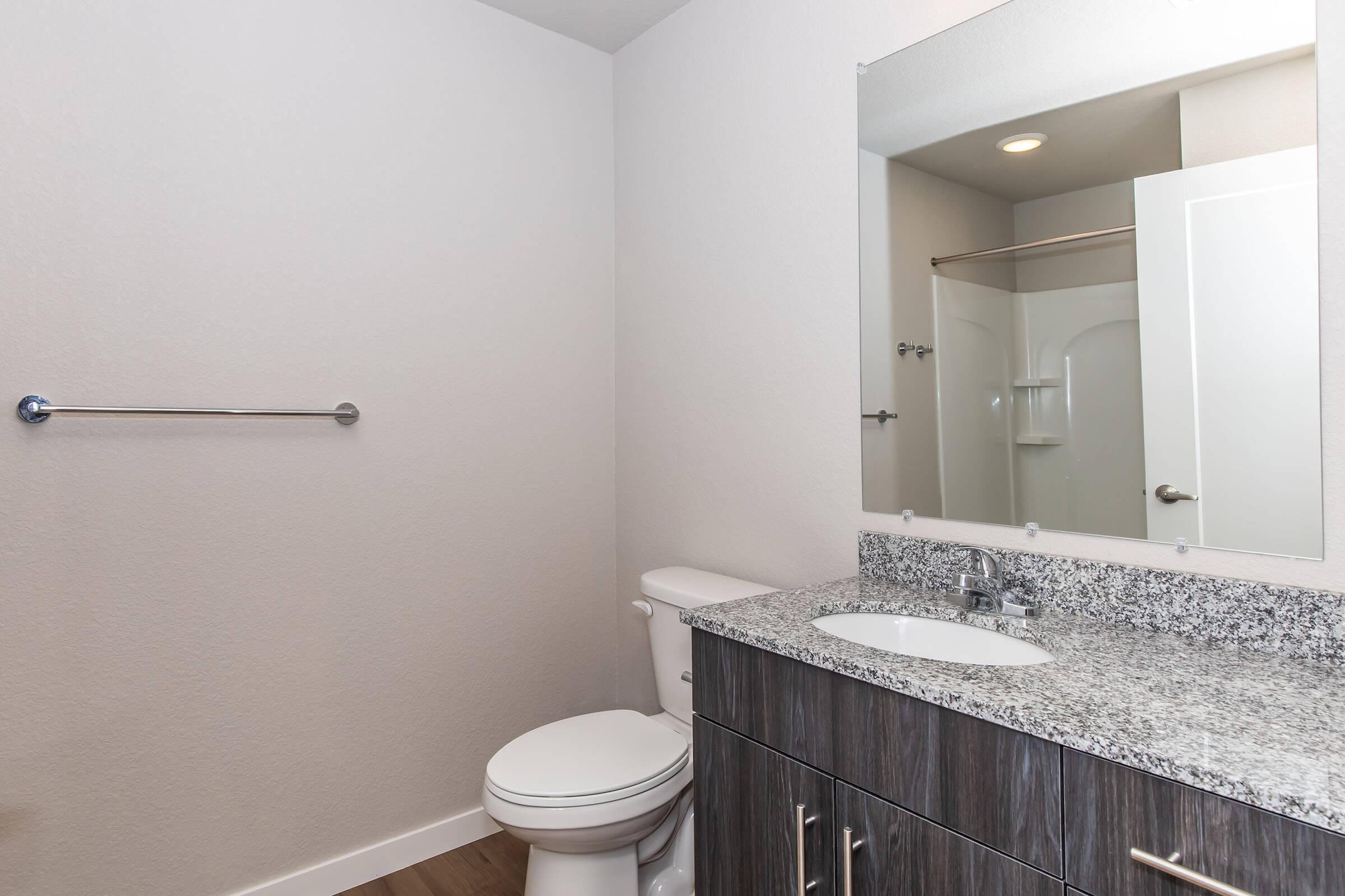 A modern bathroom featuring a white toilet, a granite countertop with a sink, a large mirror, and a shower area in the background. The walls are light-colored, enhancing the spacious feel, while the flooring is a warm wood tone, providing a contrast to the sleek fixtures.