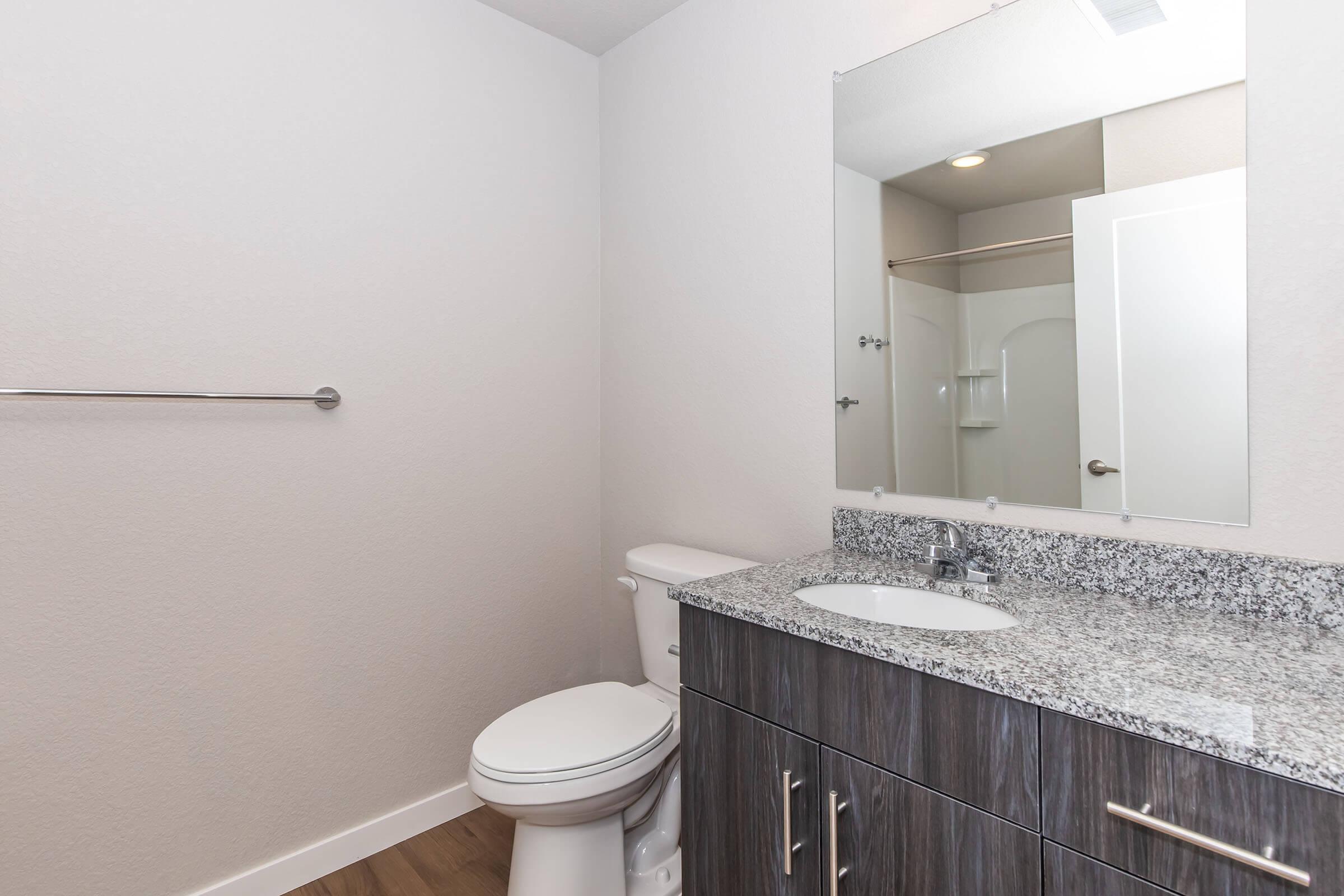 A modern bathroom featuring a toilet, a wall-mounted towel bar, a double sink vanity with a granite countertop, and a large mirror. The walls are painted light gray, and the flooring is a warm wood tone. A shower area is visible in the background.