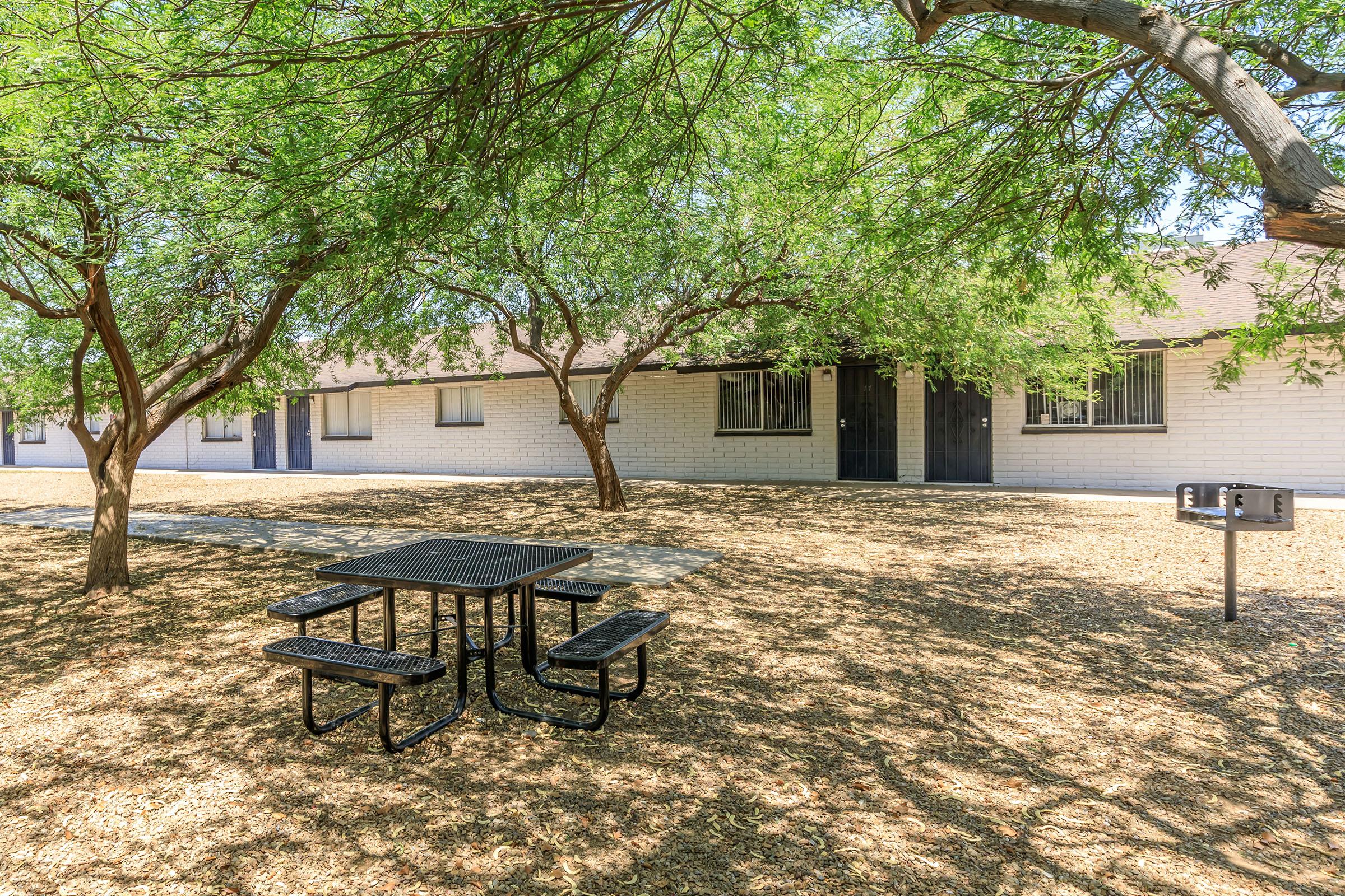 an empty park bench next to a tree