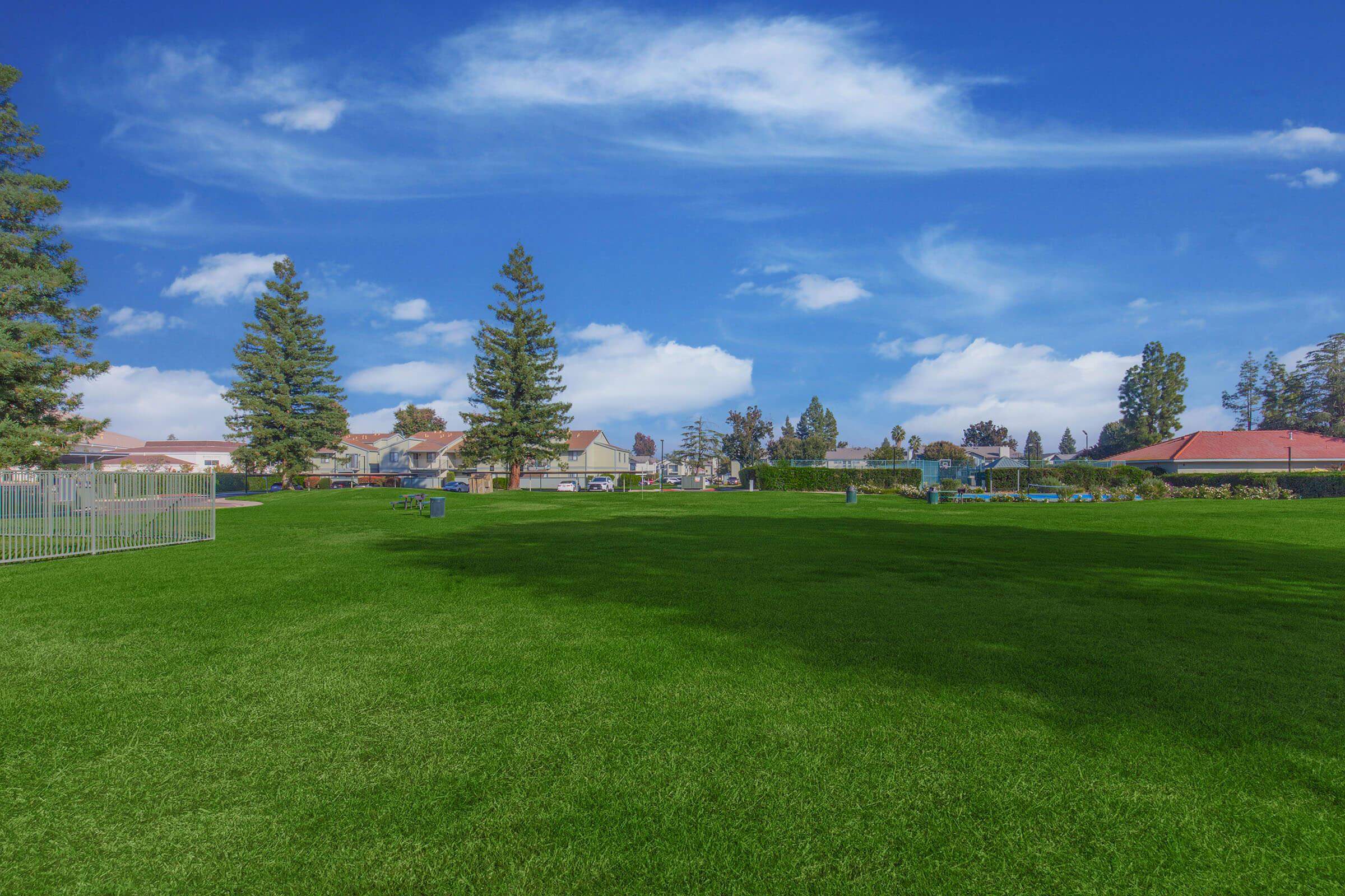 A wide view of a green park featuring a grassy field under a bright blue sky with fluffy white clouds. In the background, there are houses and tall trees lining the edge of the park, creating a peaceful and spacious atmosphere.