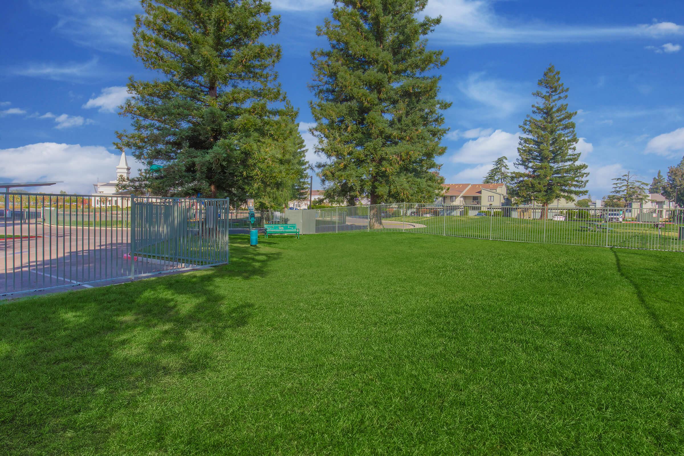 A wide grassy area in a park featuring tall trees and a blue sky. Behind the grass, there are fenced sections and some benches, with buildings visible in the background. The scene conveys a calm and inviting outdoor space suitable for leisure and recreation.