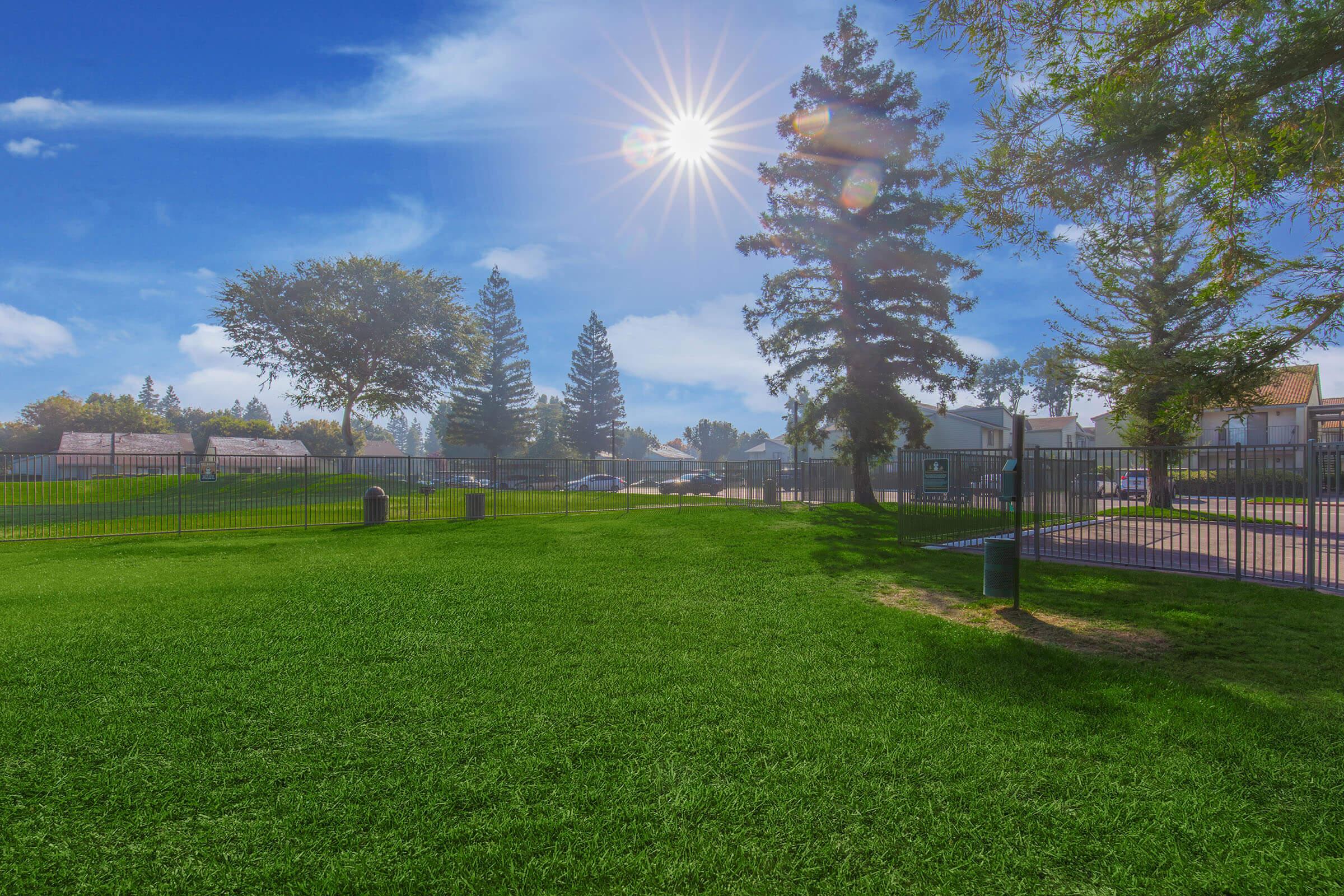 A sunny day in a park featuring lush green grass, tall trees, and a clear blue sky. The sun shines brightly overhead, casting light on the area. In the background, there are residential buildings and a fenced playground, creating a serene outdoor atmosphere.