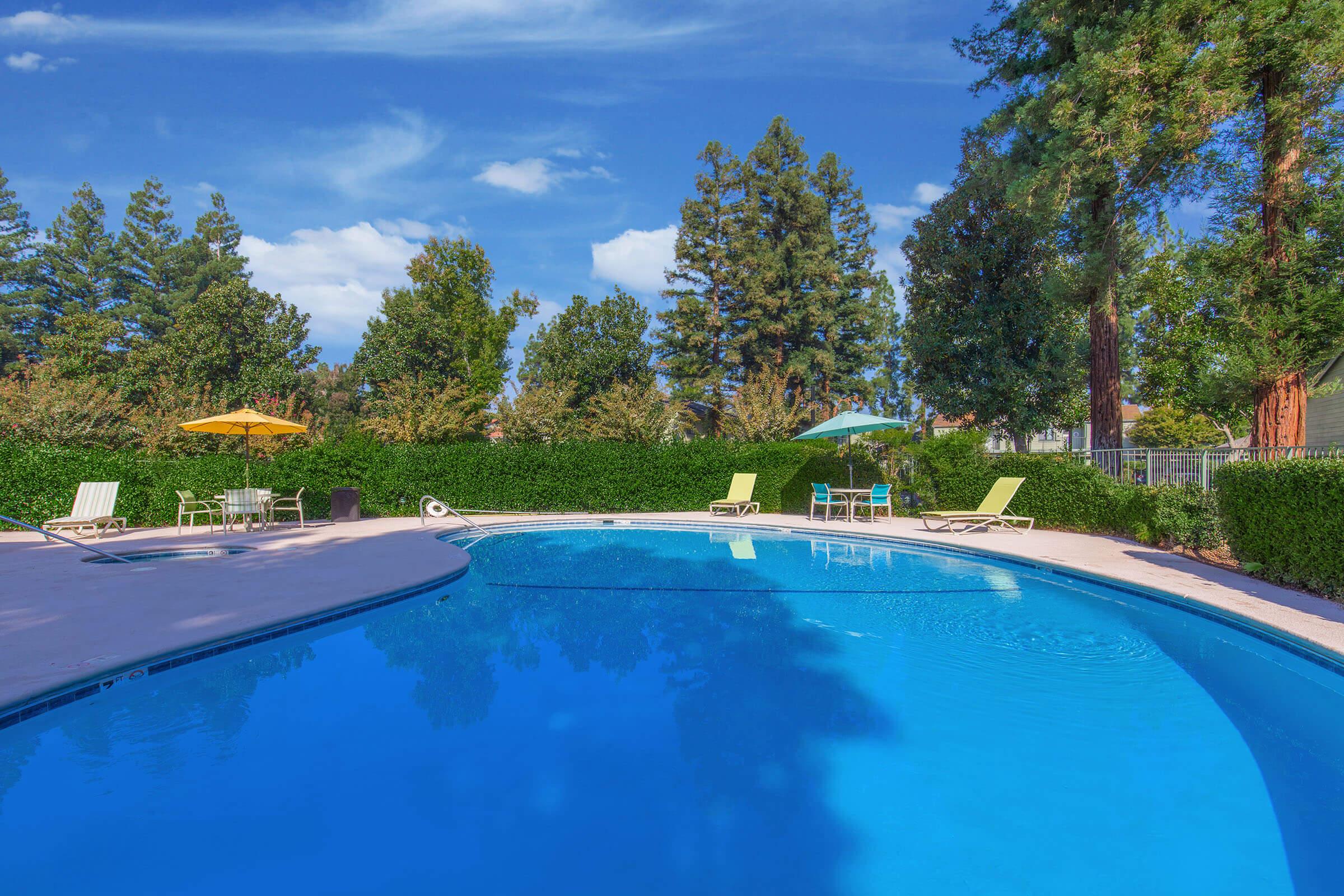 A serene outdoor swimming pool surrounded by lush green trees and bushes, with comfortable lounge chairs and umbrellas. The sky is bright blue with a few white clouds, creating a peaceful and inviting atmosphere perfect for relaxation.