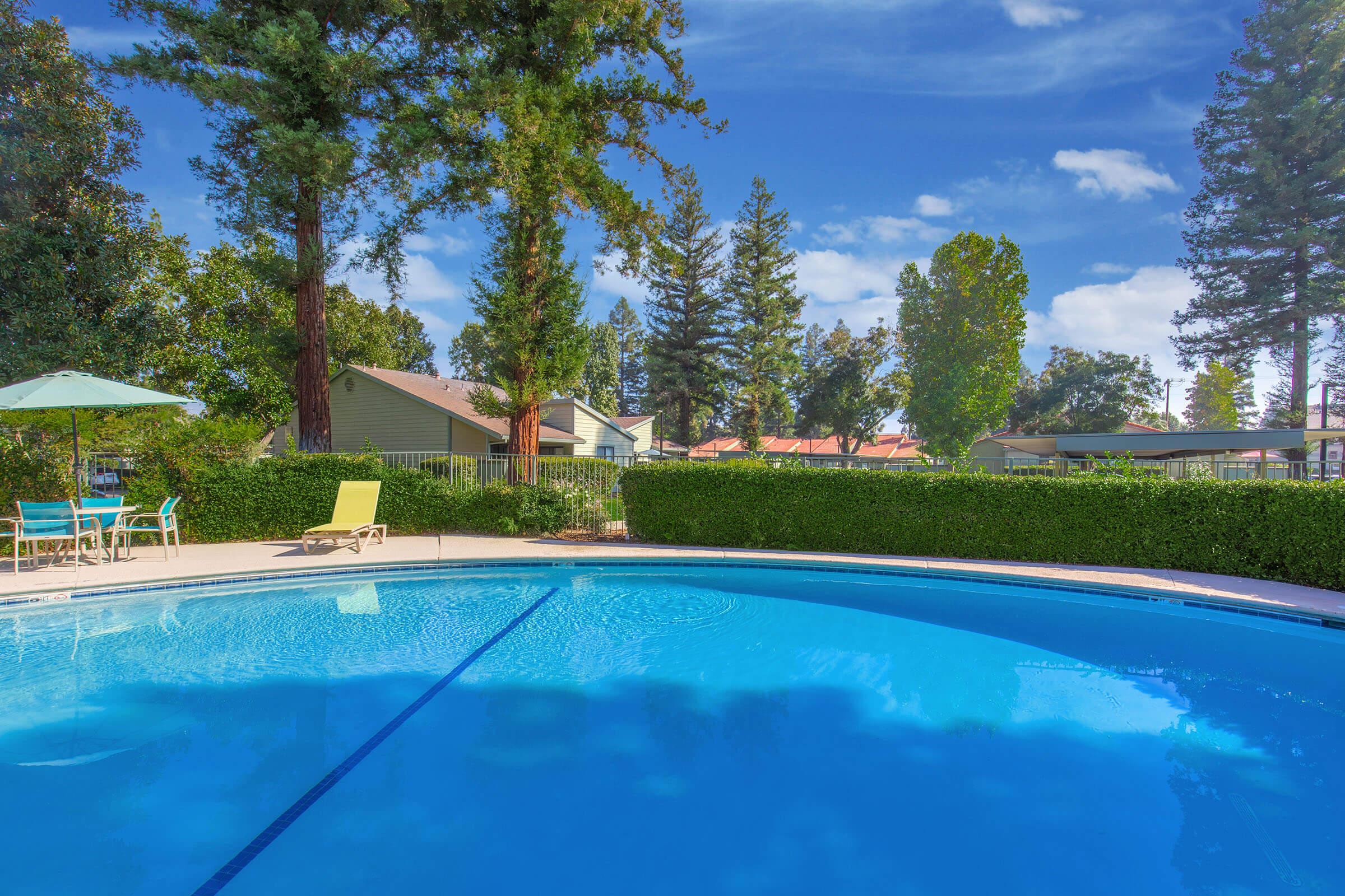 A sunny swimming pool surrounded by lush greenery, featuring a clear blue surface and a diving line. In the background, there are trees and houses visible, along with poolside furniture including a table and chairs under a green umbrella. The sky is bright with a few fluffy clouds.