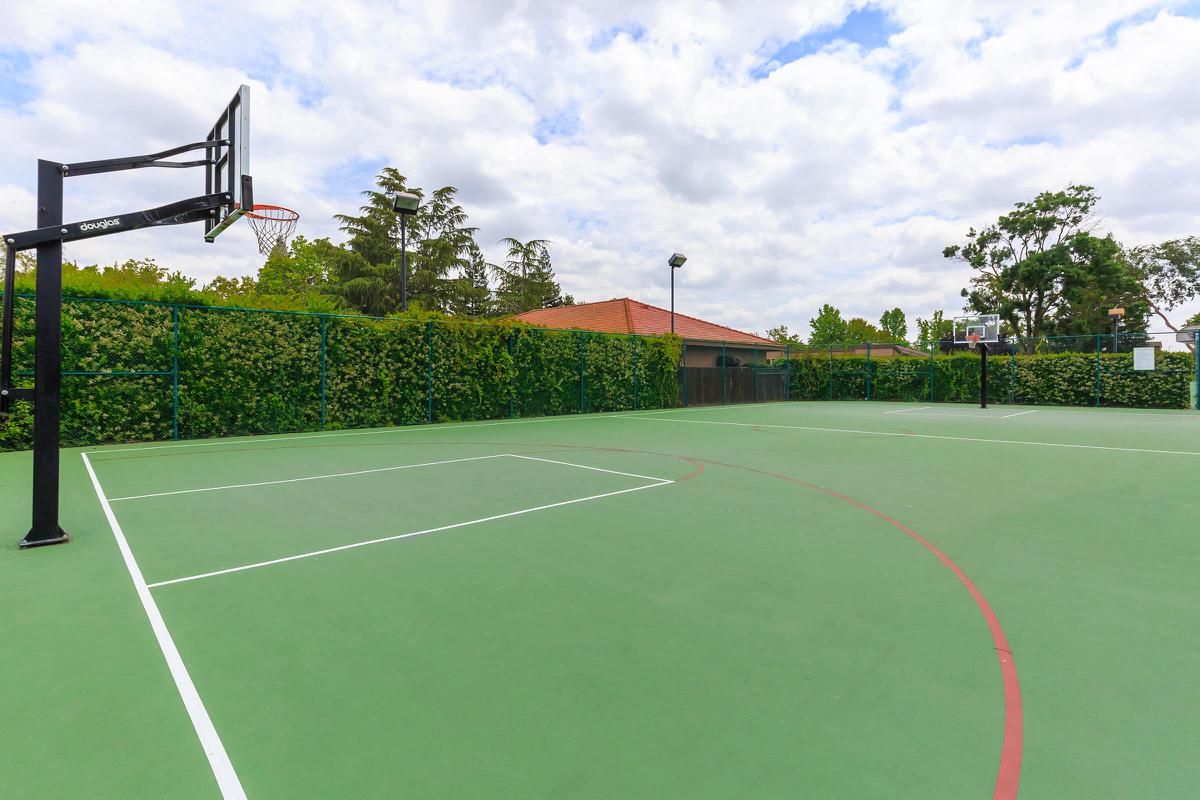 a green ball on a court with a racket