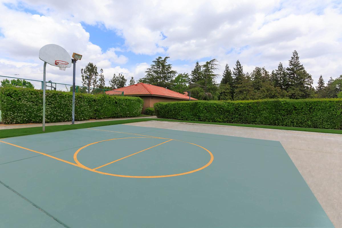 BASKETBALL COURT