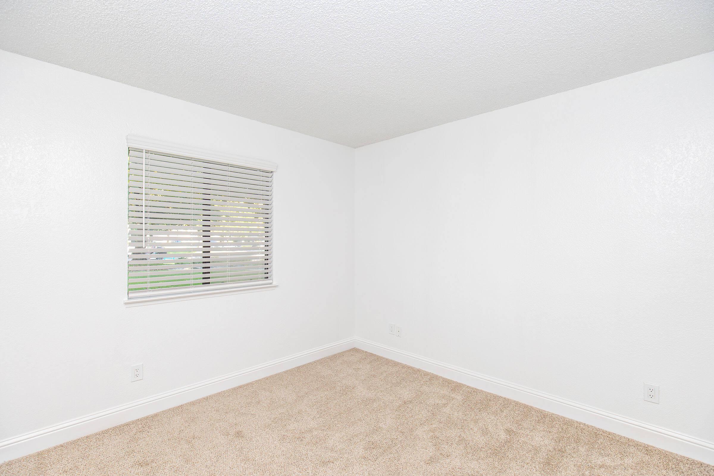 A clean, empty room with light beige carpet and white walls. A window with white blinds allows natural light to enter, and outside greenery is visible. The room has minimal decoration, creating a bright and spacious feel. Ideal for various uses, such as an office or bedroom.