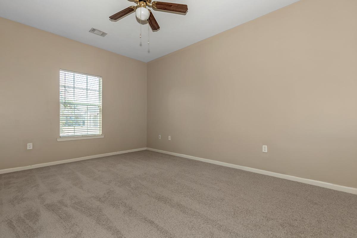 PLUSH CARPETING AND CEILING FANS
