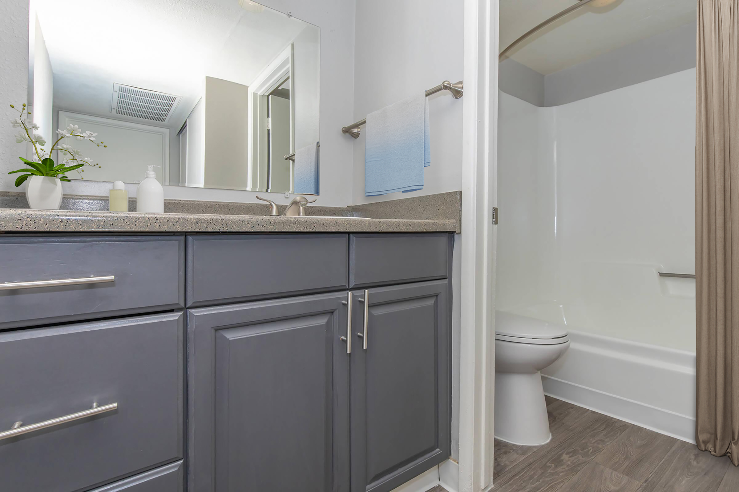 A modern bathroom featuring a gray vanity with silver hardware, a sink, and a mirror above. A small plant is on the counter next to soap dispensers. The bathroom includes a white bathtub with a shower curtain and a toilet in the background. Natural light filters in from a nearby window.