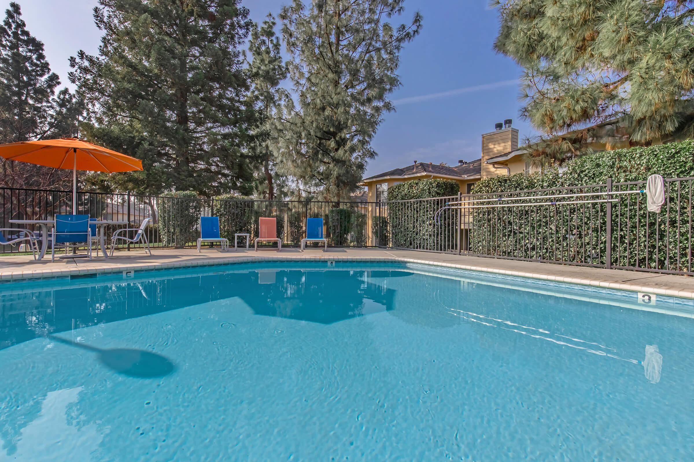 A clear swimming pool surrounded by patio chairs and an orange umbrella. The backdrop features tall trees and a fence, with a house visible in the distance under a clear blue sky.