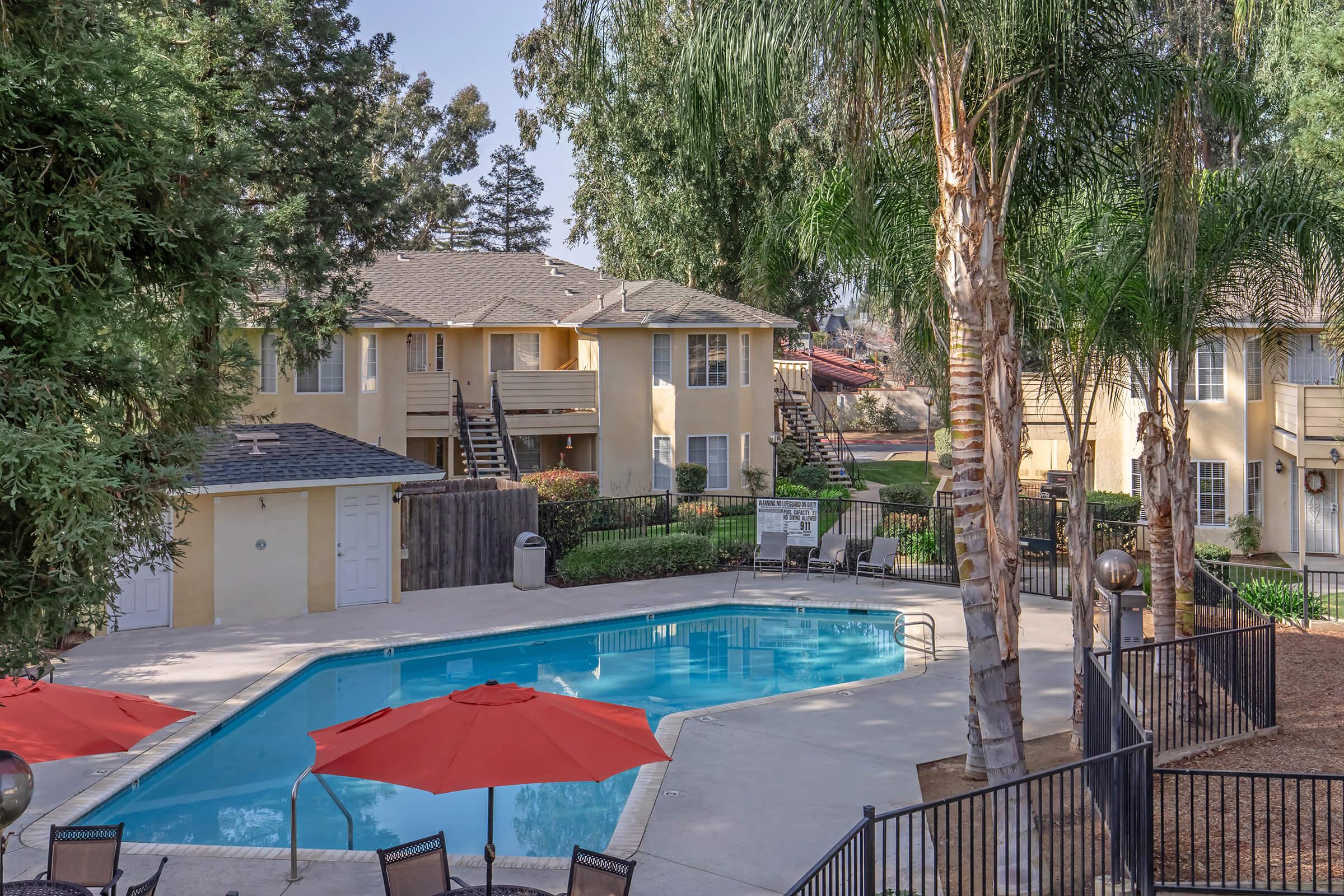 A vibrant outdoor pool area surrounded by palm trees, with several lounge chairs and red umbrellas. In the background, there are brownstone buildings with staircases, bordered by lush greenery. The setting is sunny and tranquil, ideal for relaxation.