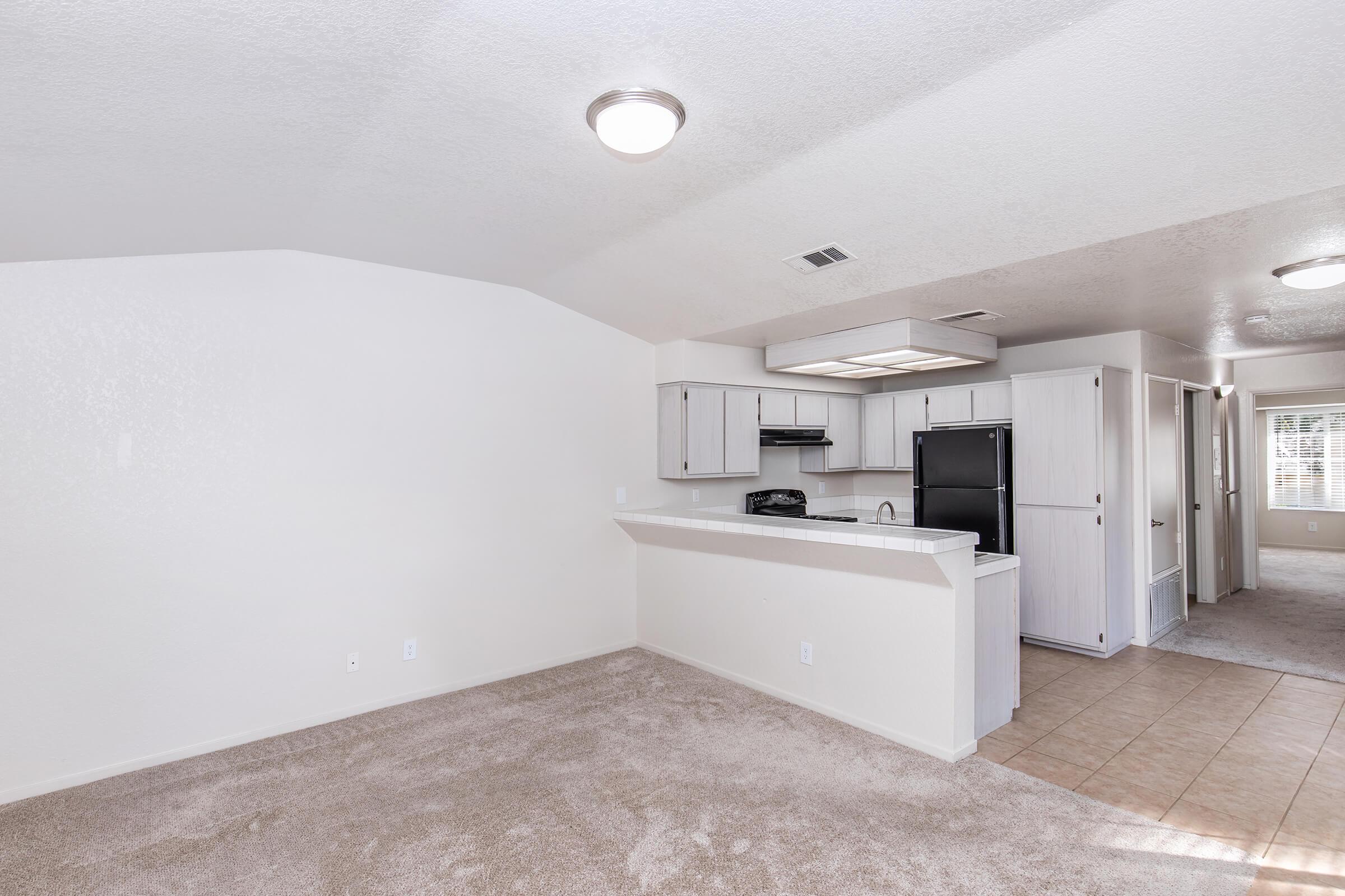 Spacious and bright living area with beige carpet flooring and white walls. Features a kitchen with a breakfast bar, light wood cabinetry, and black appliances. Adjacent hallway leads to additional rooms. Natural light fills the space, creating a welcoming atmosphere.