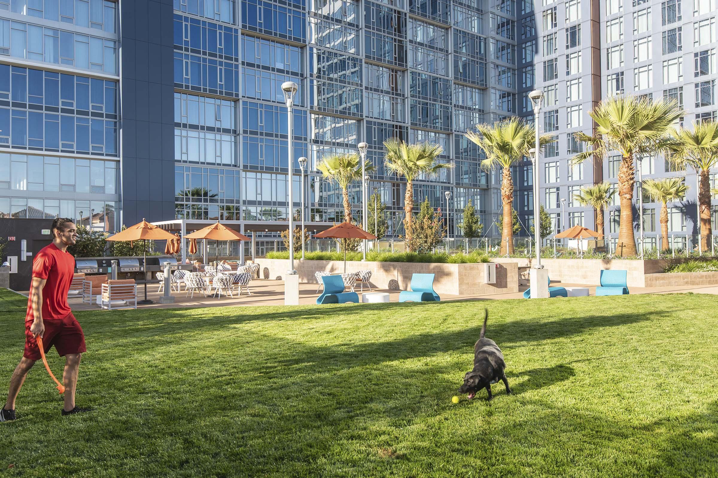 A man in a red shirt walks with a dog on a leash in a grassy area surrounded by modern buildings. The dog is playing with a yellow ball, while palm trees and outdoor seating areas are visible in the background under clear blue skies.