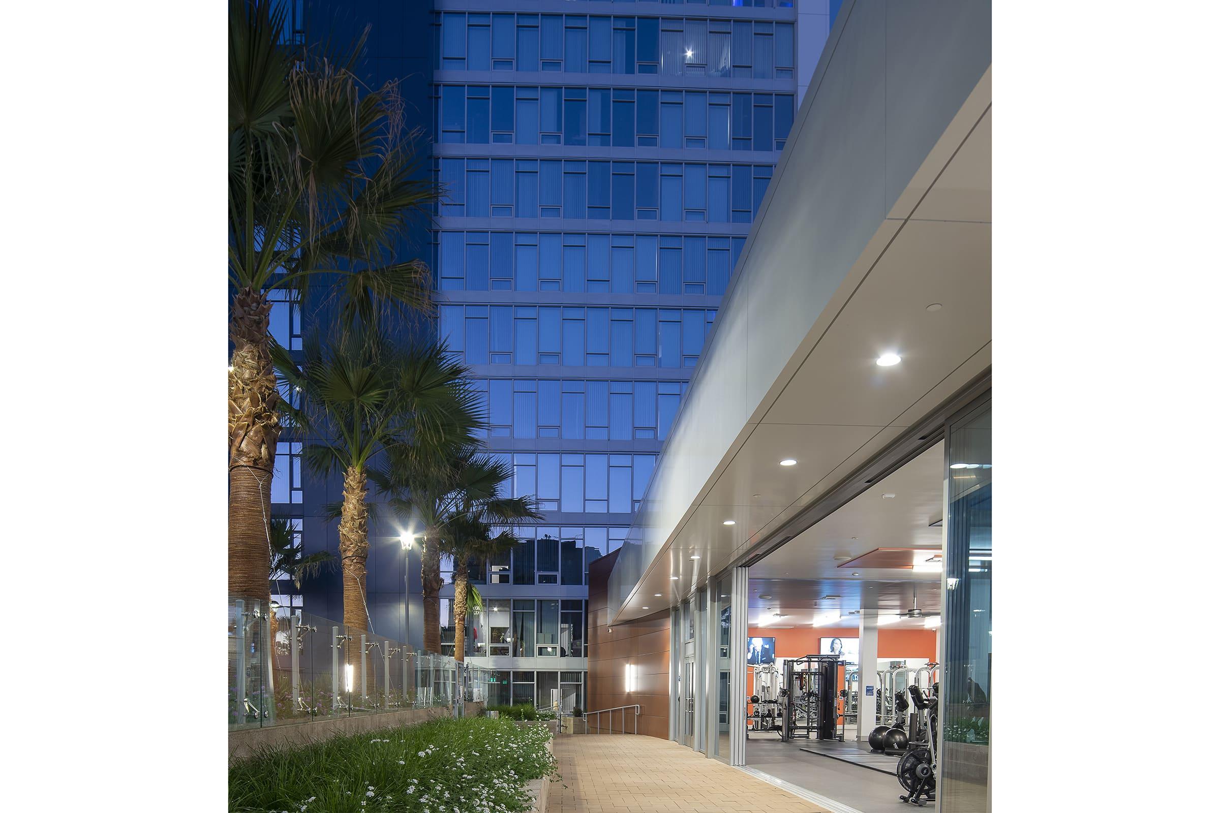 Outdoor view of a modern gym entrance at dusk, featuring large glass windows, palm trees, and landscaped greenery. The building facade is sleek with a mix of glass and metal, and soft lighting illuminates the path leading to the gym, creating a welcoming atmosphere.