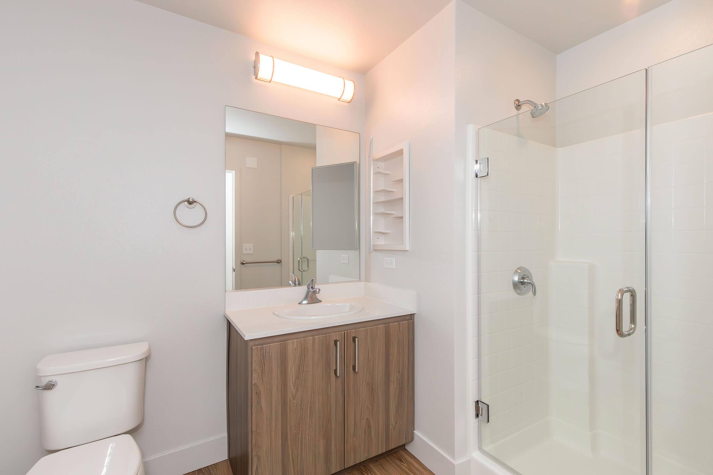 A modern bathroom featuring a white toilet, a wooden vanity with a sink, and a large glass shower. The walls are painted in a light color, complemented by a simple mirror and a wall-mounted shelf. Soft lighting enhances the spacious feel of the room, with a wood-patterned floor.