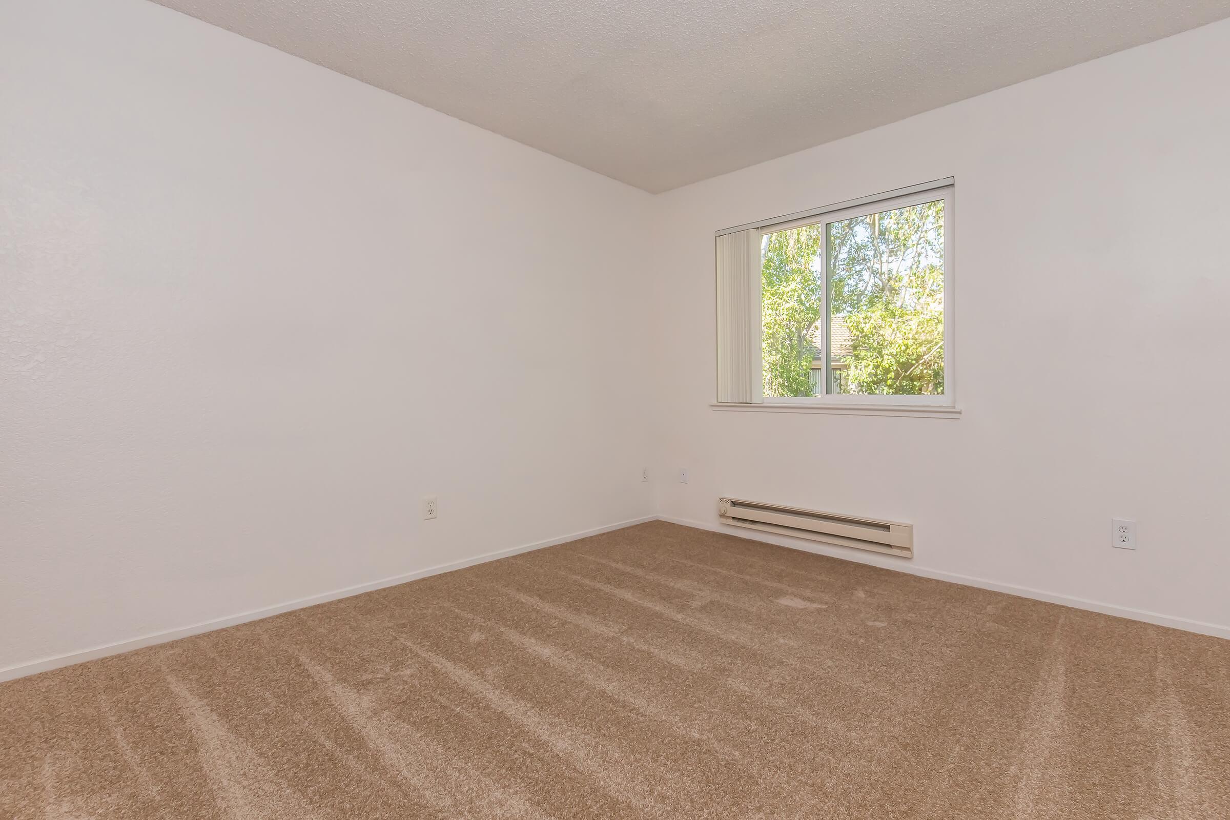 A vacant room with beige carpet and white walls. A window on one wall allows natural light, offering a view of greenery outside. The room has no furniture, creating a spacious and minimalistic feel. A baseboard heater is visible beneath the window.
