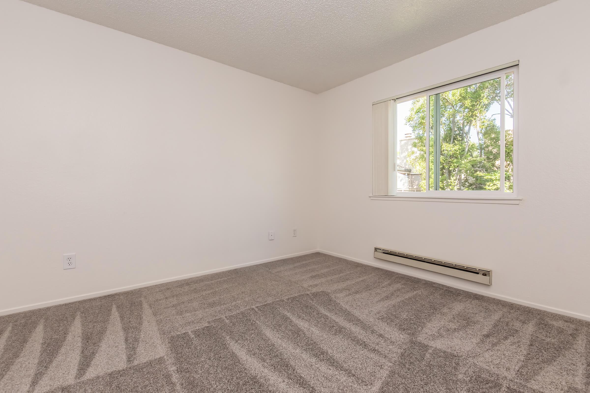 A vacant room with light-colored walls and gray carpet. A large window on one wall lets in natural light, framed by white trim. The space is simple and unadorned, with a heating unit along the baseboard. The overall atmosphere is bright and open, suitable for various uses.