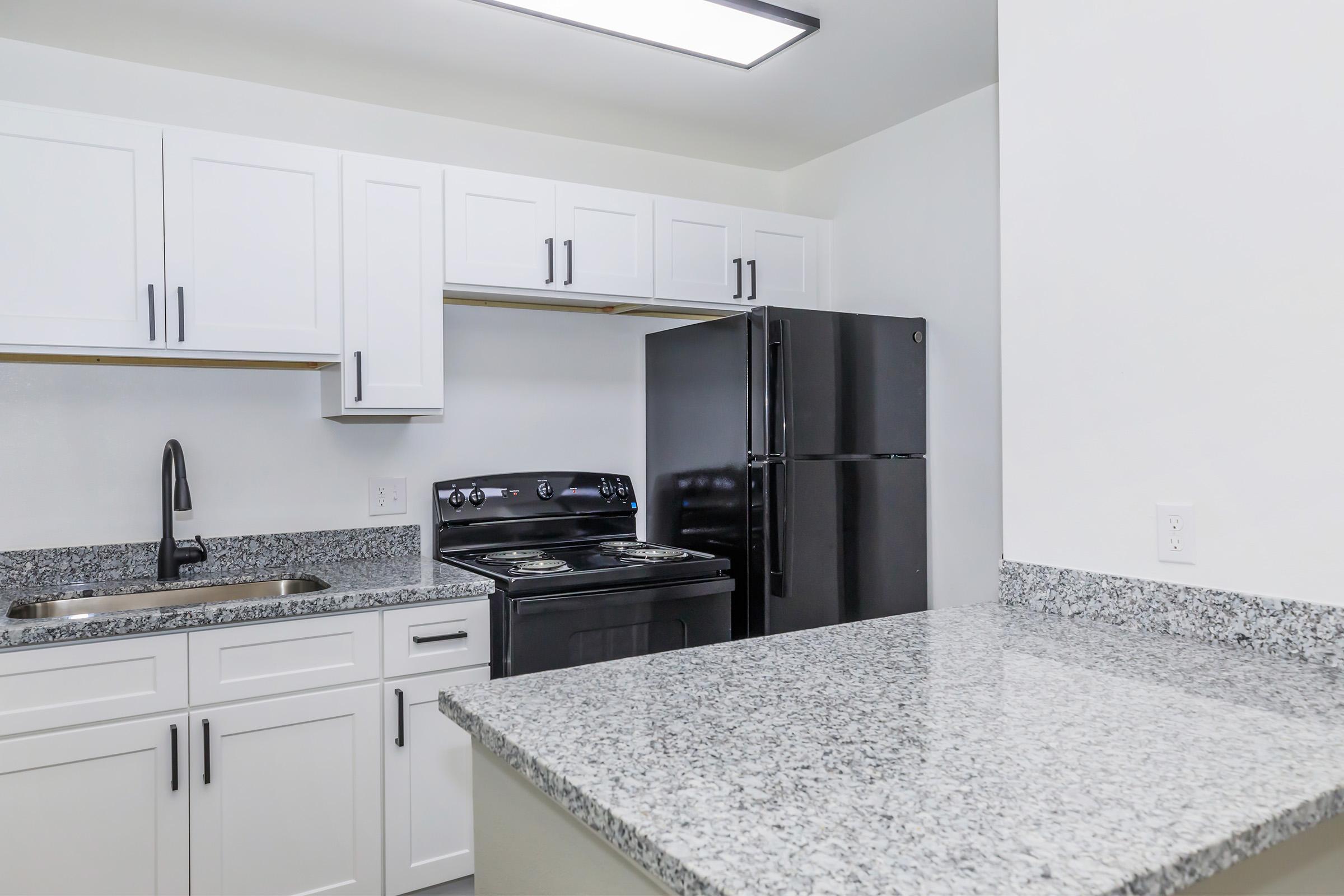 Modern kitchen featuring white cabinets, a granite countertop, a stainless steel sink, a black refrigerator, and a black gas stove. The space is well-lit with a ceiling light and has a clean, contemporary design.
