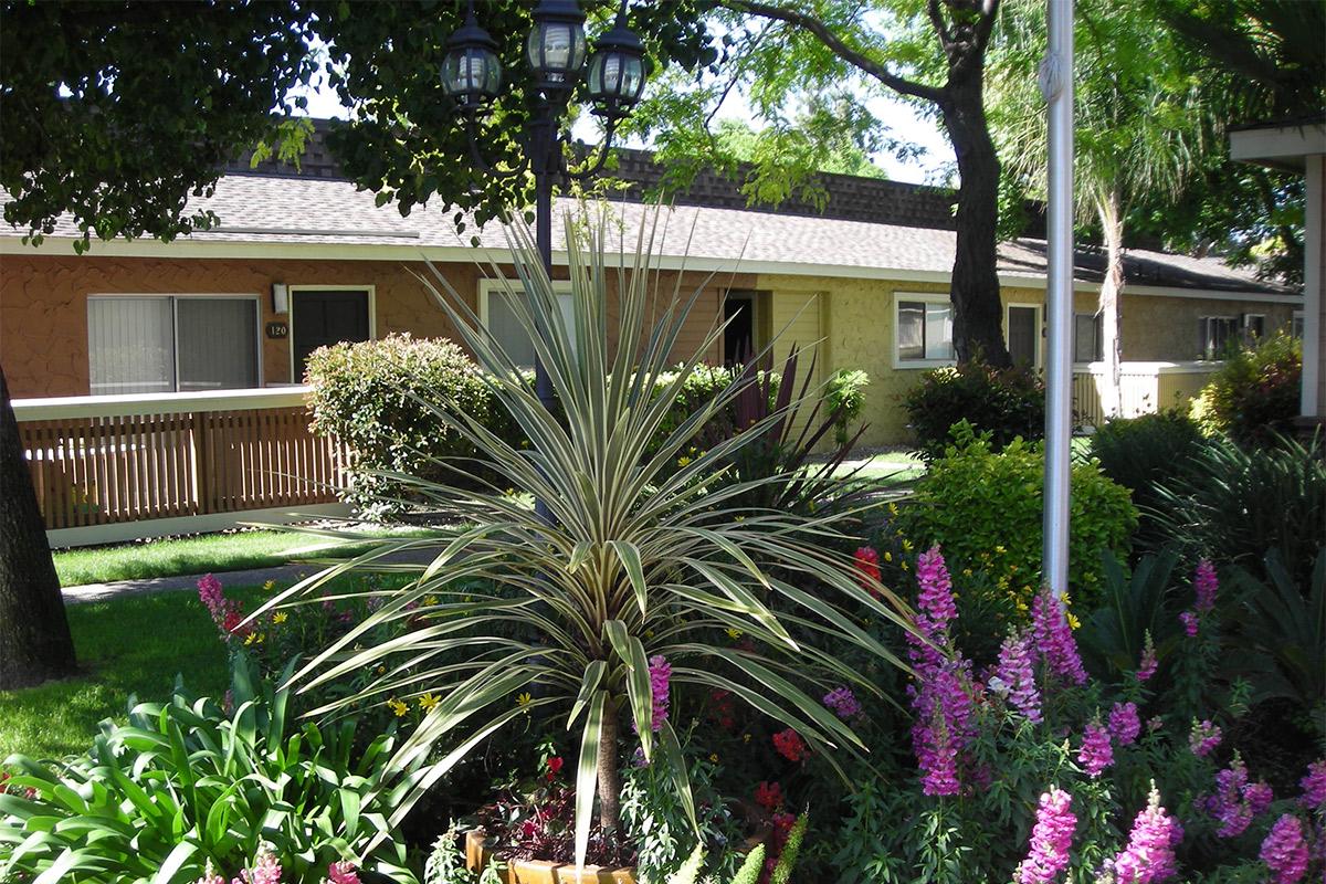 Prescott Pointe has beautiful landscaping