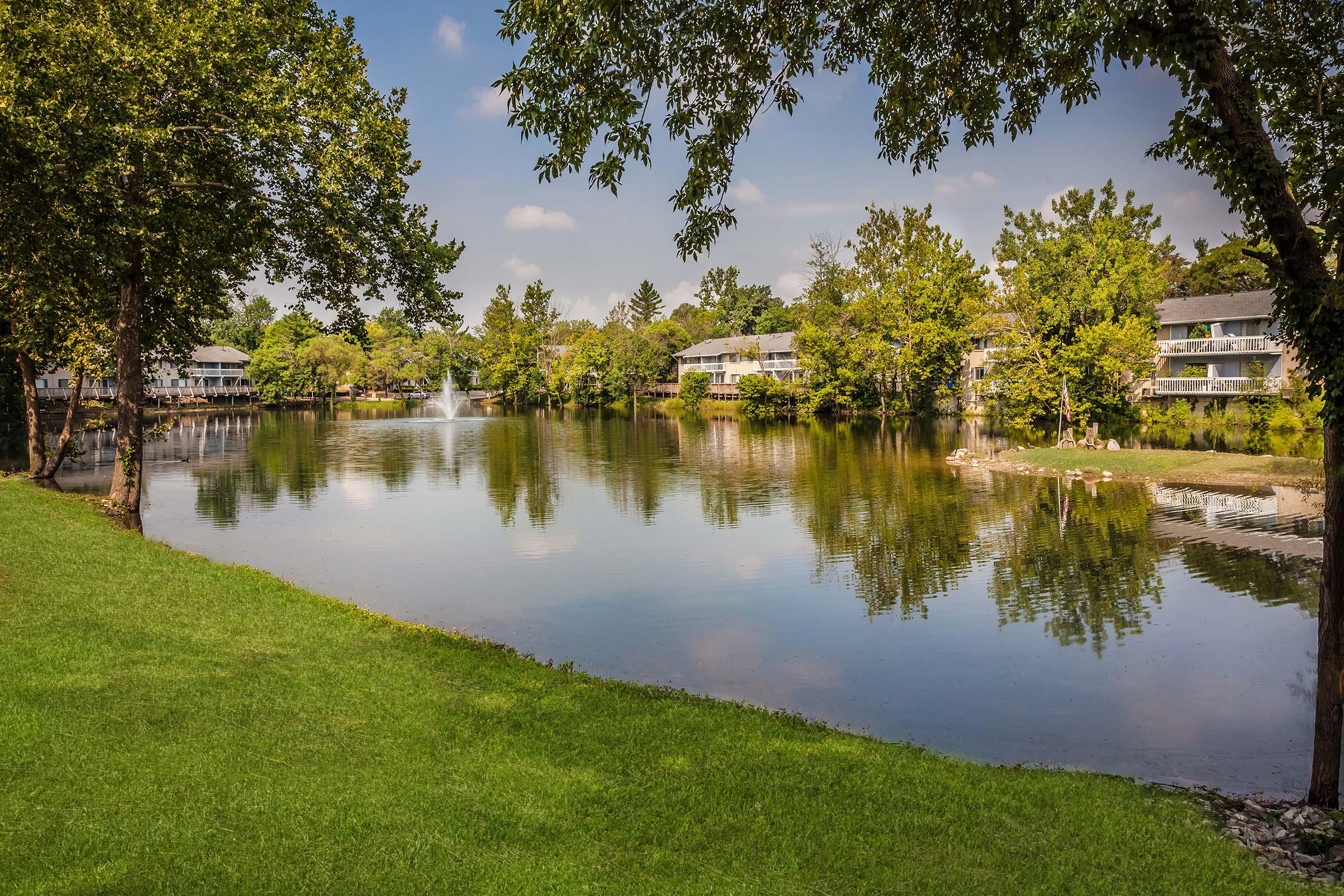 a body of water surrounded by trees