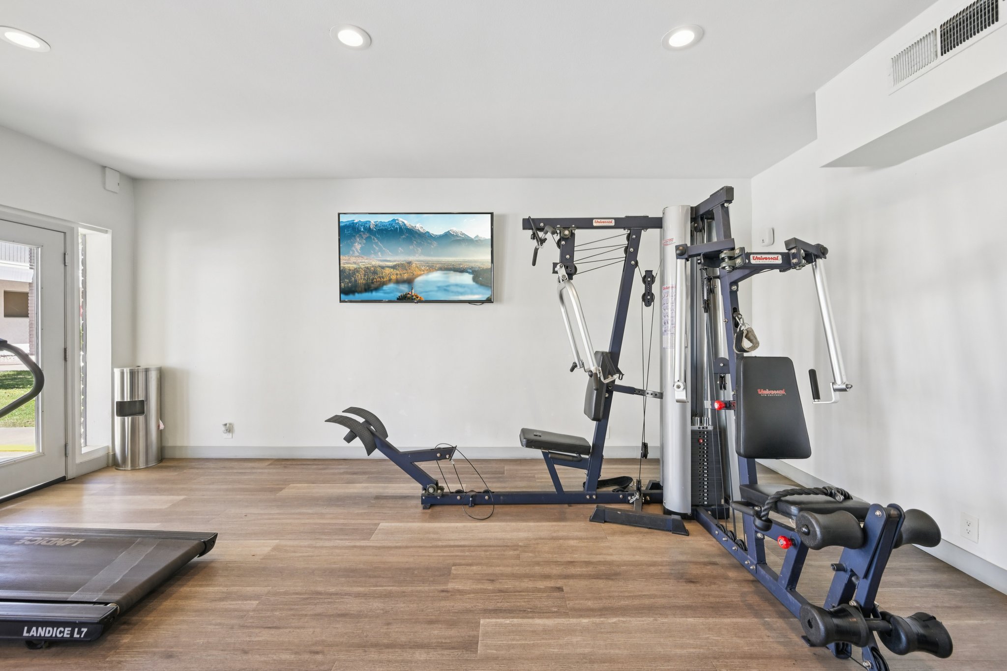 A modern home gym featuring a multifunctional workout machine and a flat exercise mat. A large wall-mounted screen displays a serene landscape with mountains and a lake, enhancing the aesthetic of the space. The room is brightly lit with wooden flooring and minimalistic decor.