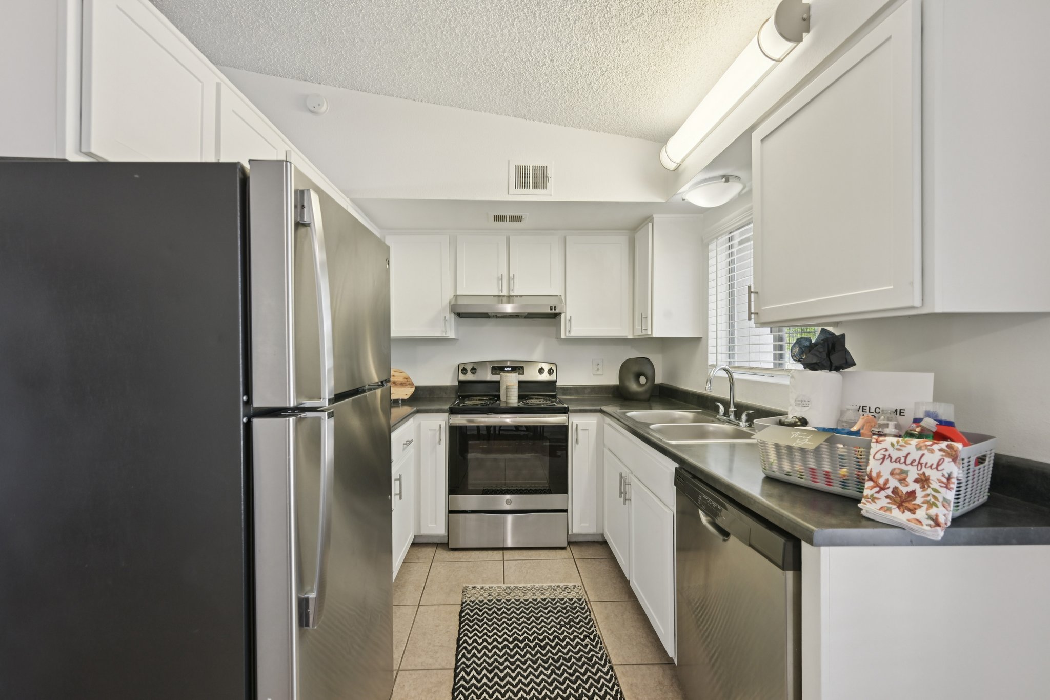 Modern kitchen featuring stainless steel appliances, including a refrigerator, oven, and dishwasher. The cabinets are white, and the countertops are dark. A small rug is on the floor, and natural light enters through a window. Various kitchen items are neatly organized on the counter.